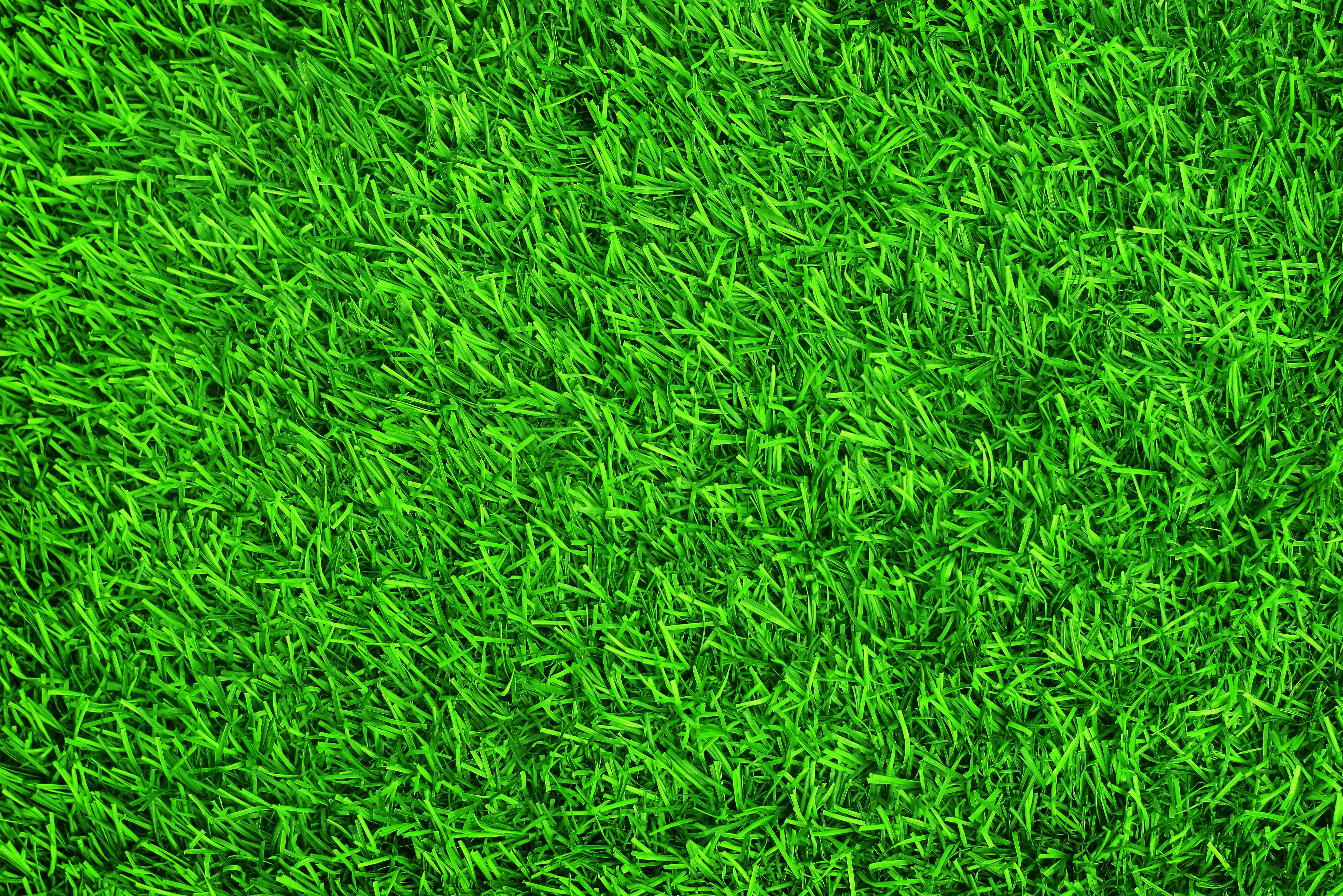 outdoors, sport, textured, full frame, abstract, summer, close-up, land, growth, field, springtime, 5K, plant, nature, pattern, backdrop, grass Area, lawn, HD Wallpaper