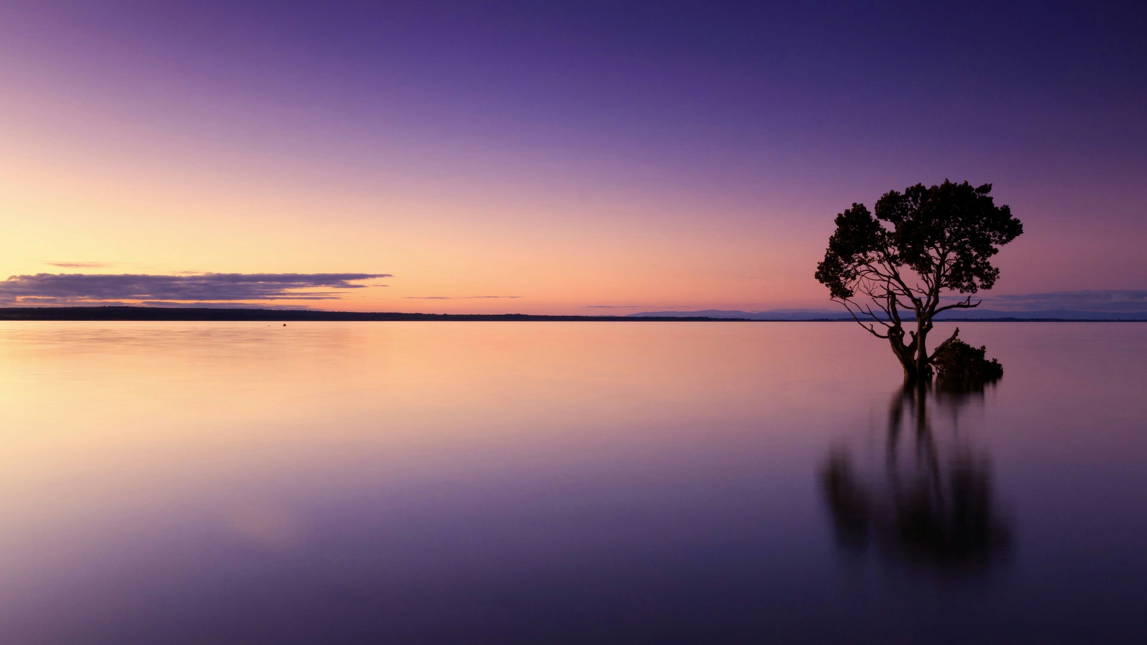 lone tree, beautiful, sunset, tranquil scene, afterglow, plant, no people, horizon, sky, cloud - sky, dusk, horizon over water, silhouette, outdoors, beauty in nature, HD Wallpaper