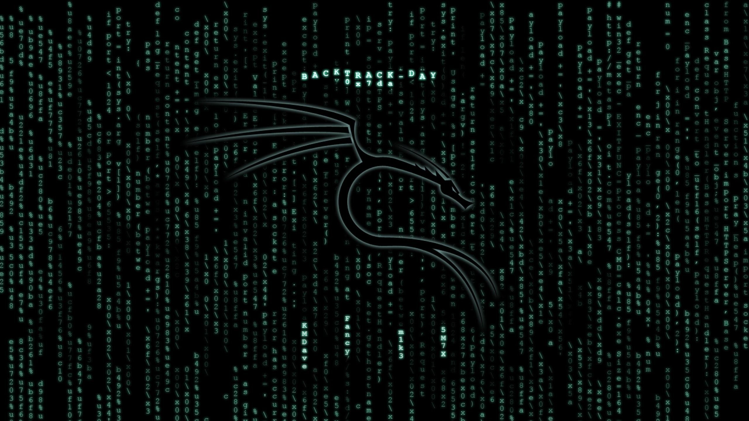hacking, internet, sadic, hacker, 2K, virus, anarchy, computer, HD Wallpaper
