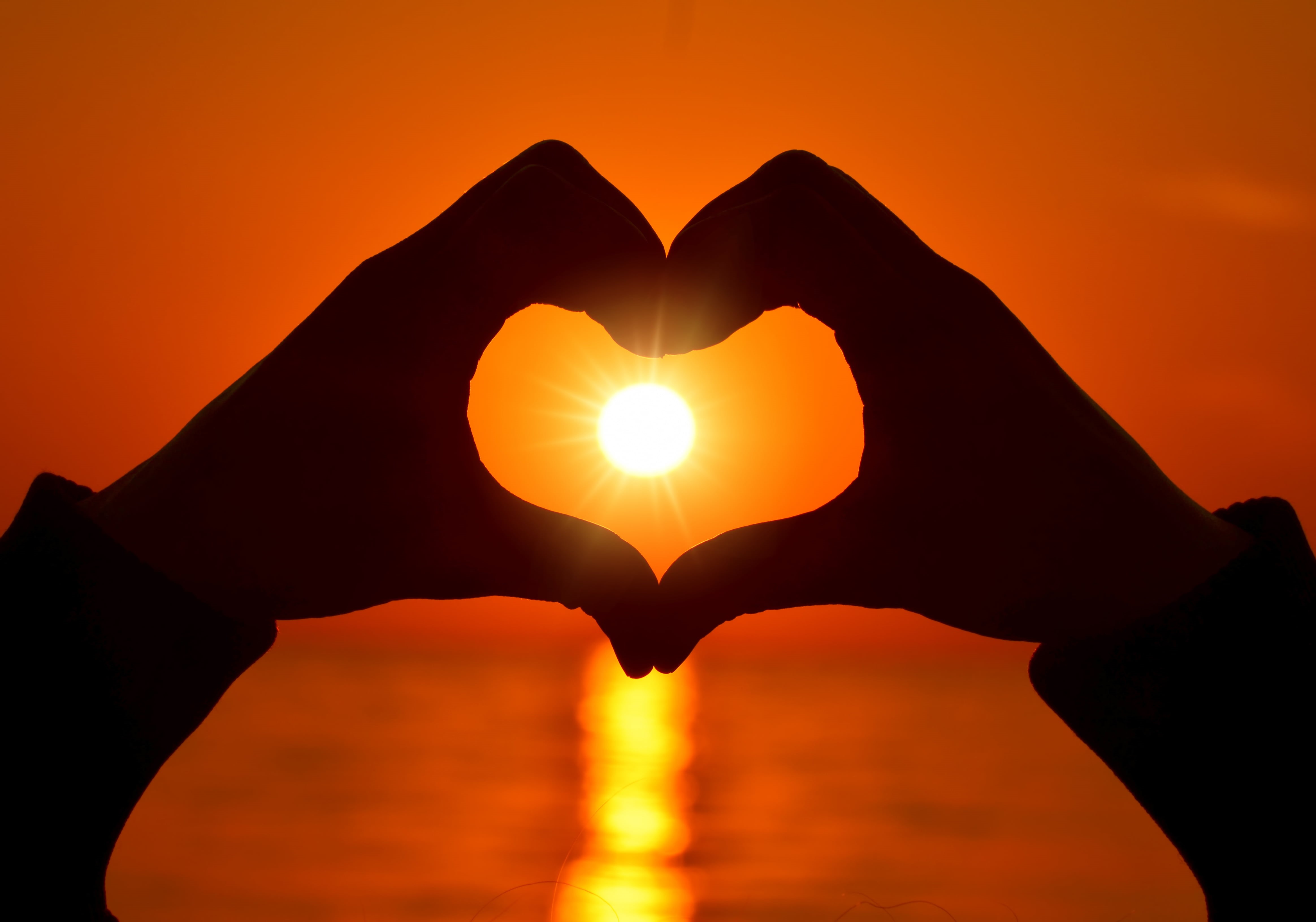 one person, body part, positive emotion, emotion, finger, orange color, love, human body part, human finger, hands, silhouette, romantic, sun, 4K, hand, HD Wallpaper