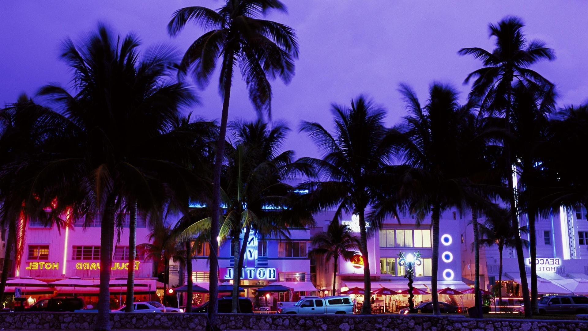 dusk, palm tree, grand theft auto vice city hotels beach palm trees neon evening, lighting equipment, street, nature, city, no people, 1080P, plant, building exterior, HD Wallpaper