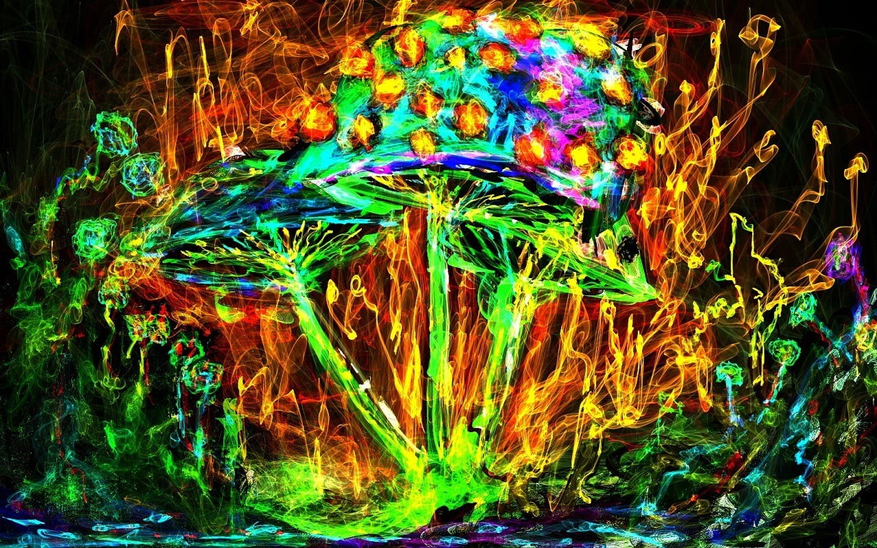 nature, complexity, 720P, illuminated, pattern, multicolored, abstract, colorful, light trail, multi colored, blurred motion, light - natural phenomenon, HD Wallpaper
