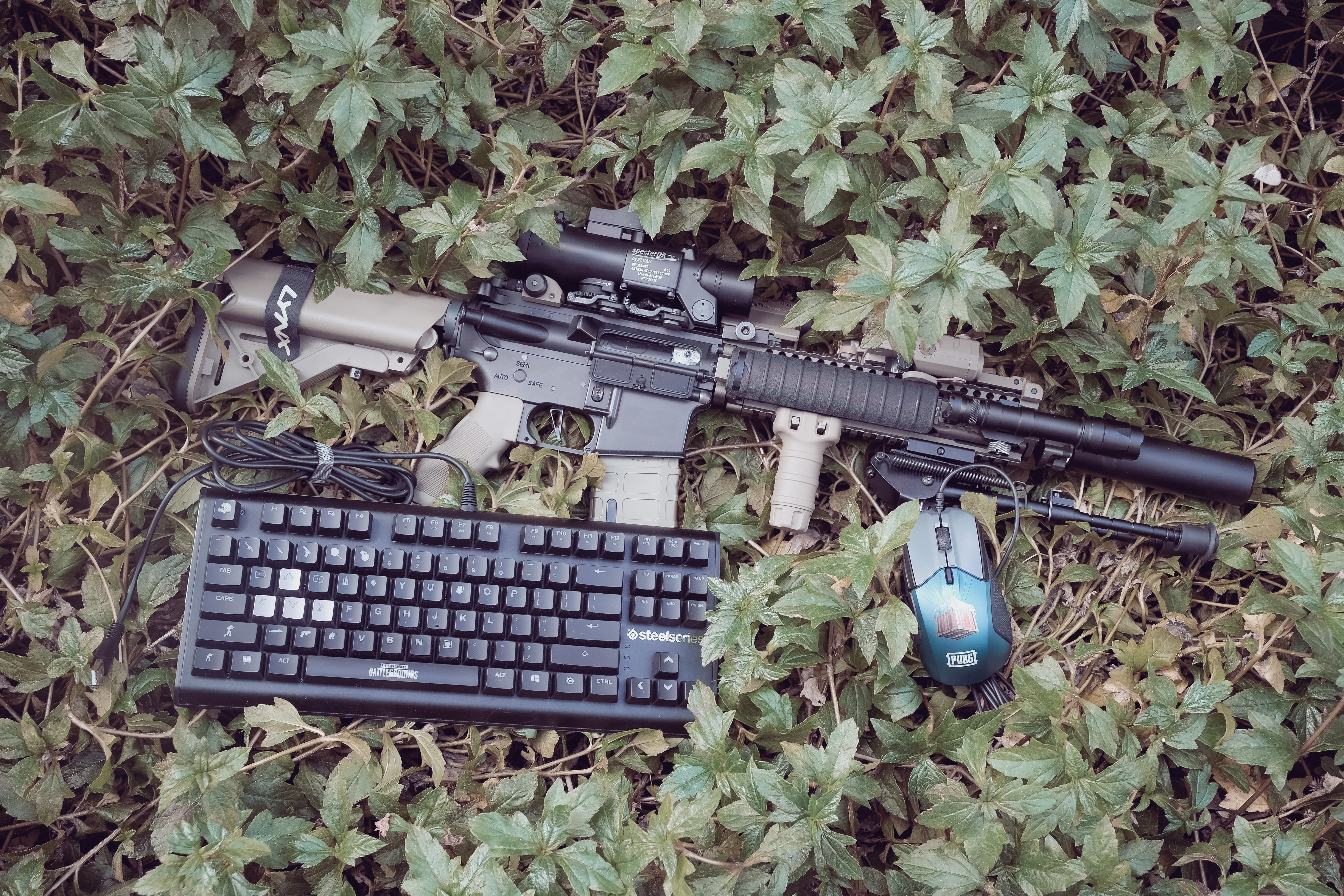 land, pubg, government, playerunknowns battelground, day, leaf, aggression, high angle view, gaming keyboard, musket, security, plant part, weapon, nature, HD Wallpaper