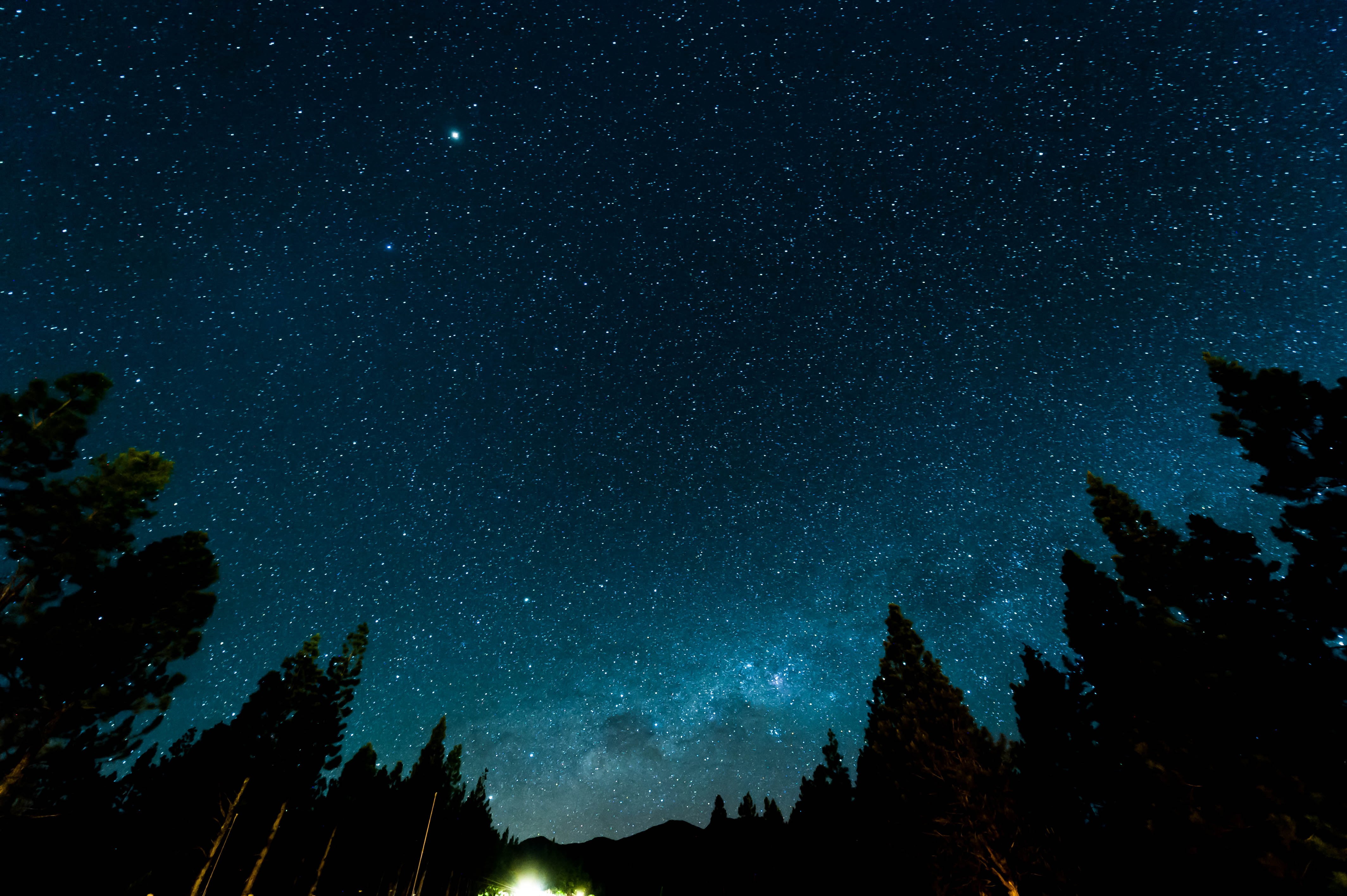 infinity, plant, houston Astros, low angle view, star Shape, science, black Color, dark, landscape, space, star Trail, beauty In Nature, illuminated, constellation, HD Wallpaper