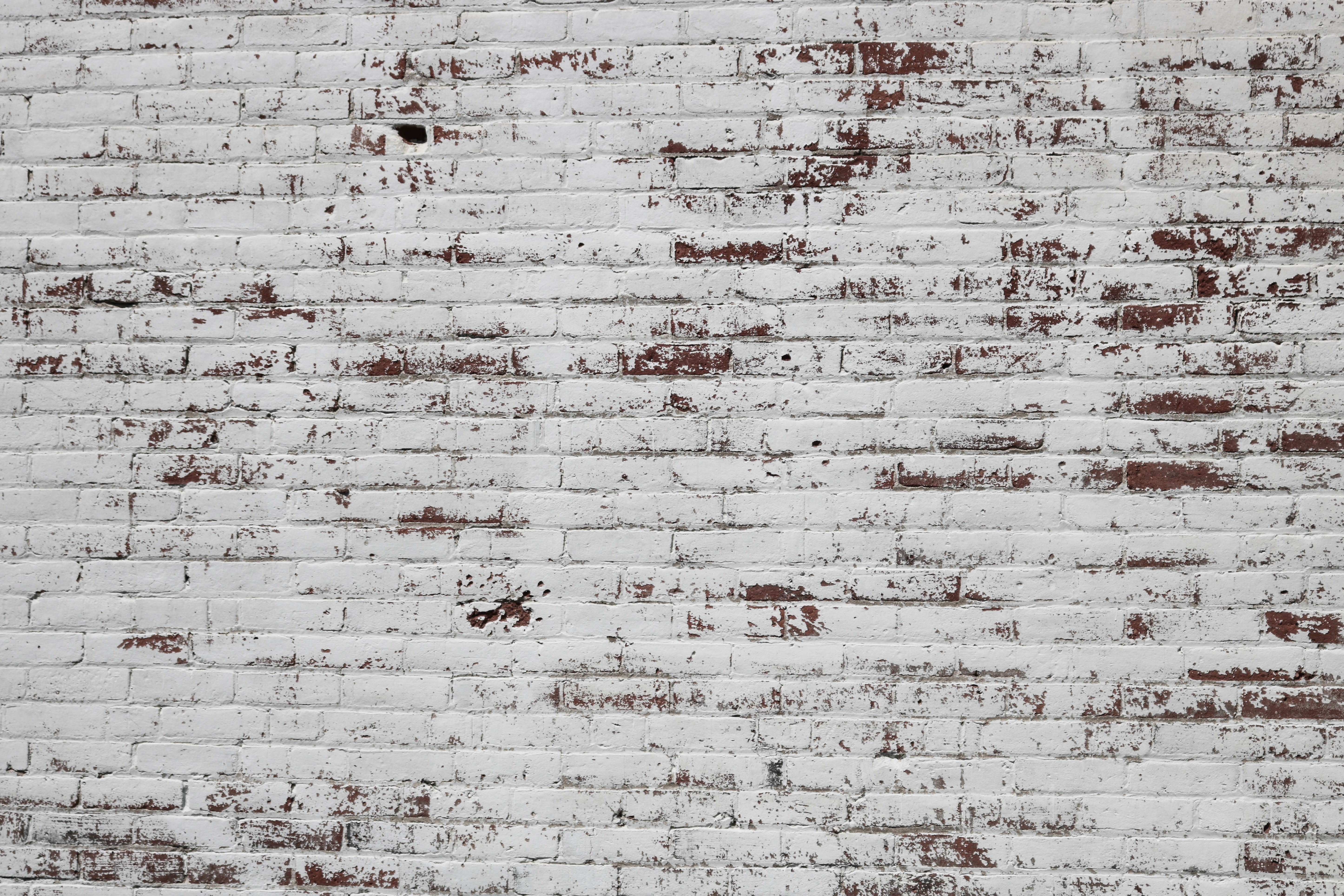 painted, white color, weathered, day, pattern, damaged, old, built structure, brick, white wash, brown, background, close-up, wood - material, peeling off, HD Wallpaper