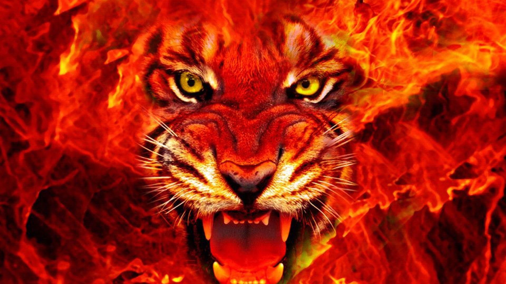 small cats, nature, 1080P, fire, illustration, king, lion, red, wildlife, animals, tiger, fantasy, big cats, HD Wallpaper