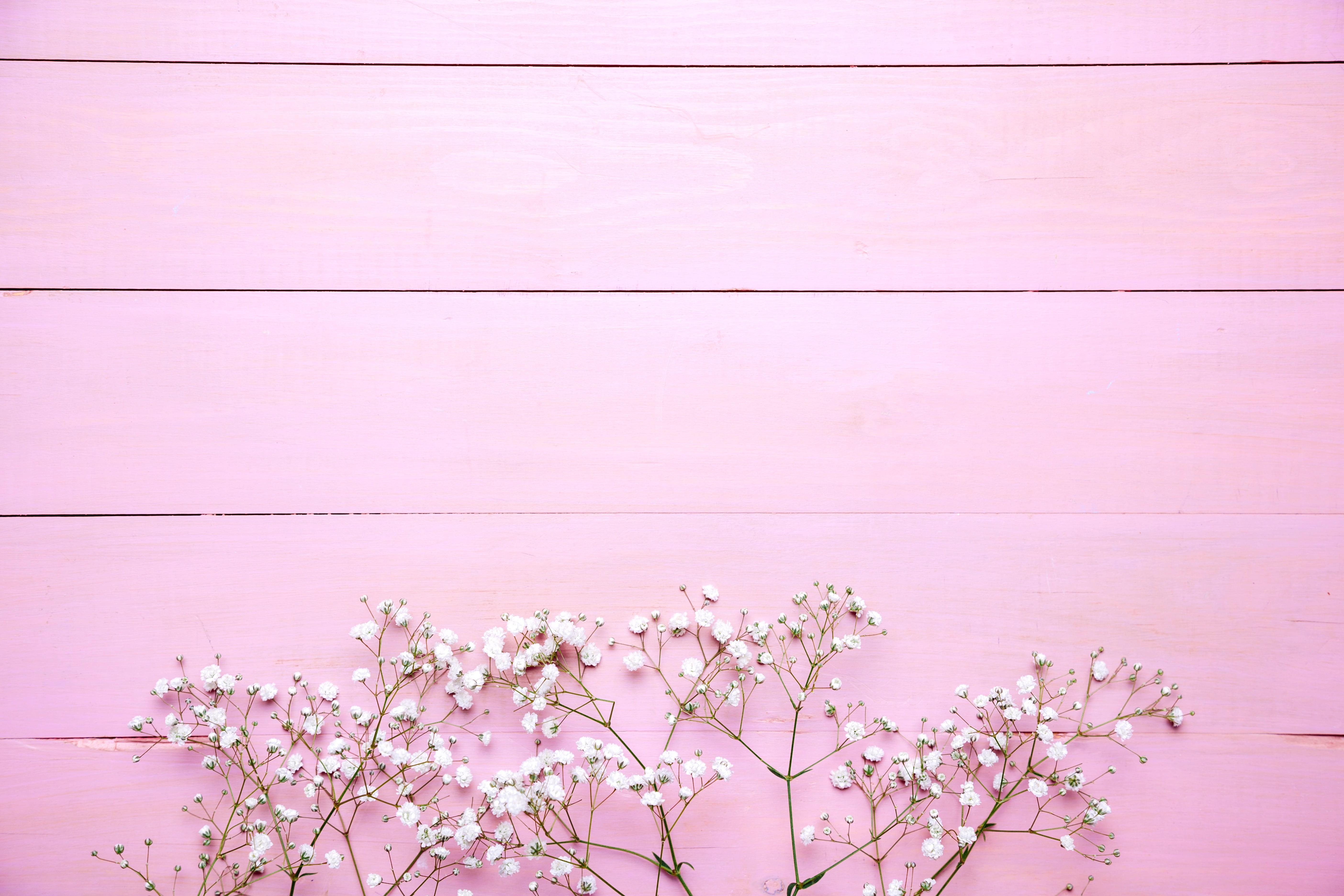 5K, white, floral, wooden, tender, spring, pink, background, flowers, HD Wallpaper