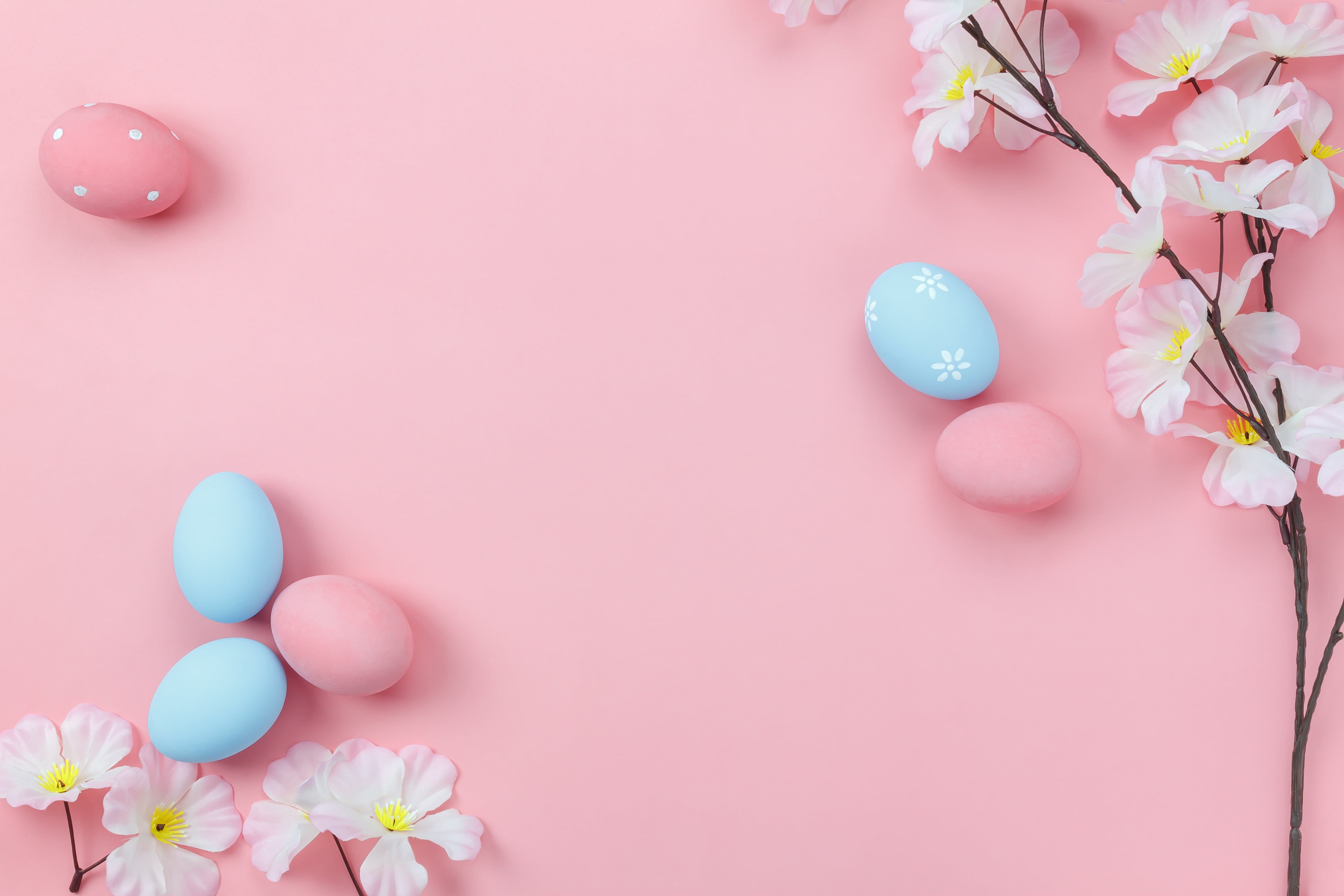 tender, Happy, background, blossom, 4K, wood, flowers, decoration, spring, eggs, Easter, pink, HD Wallpaper