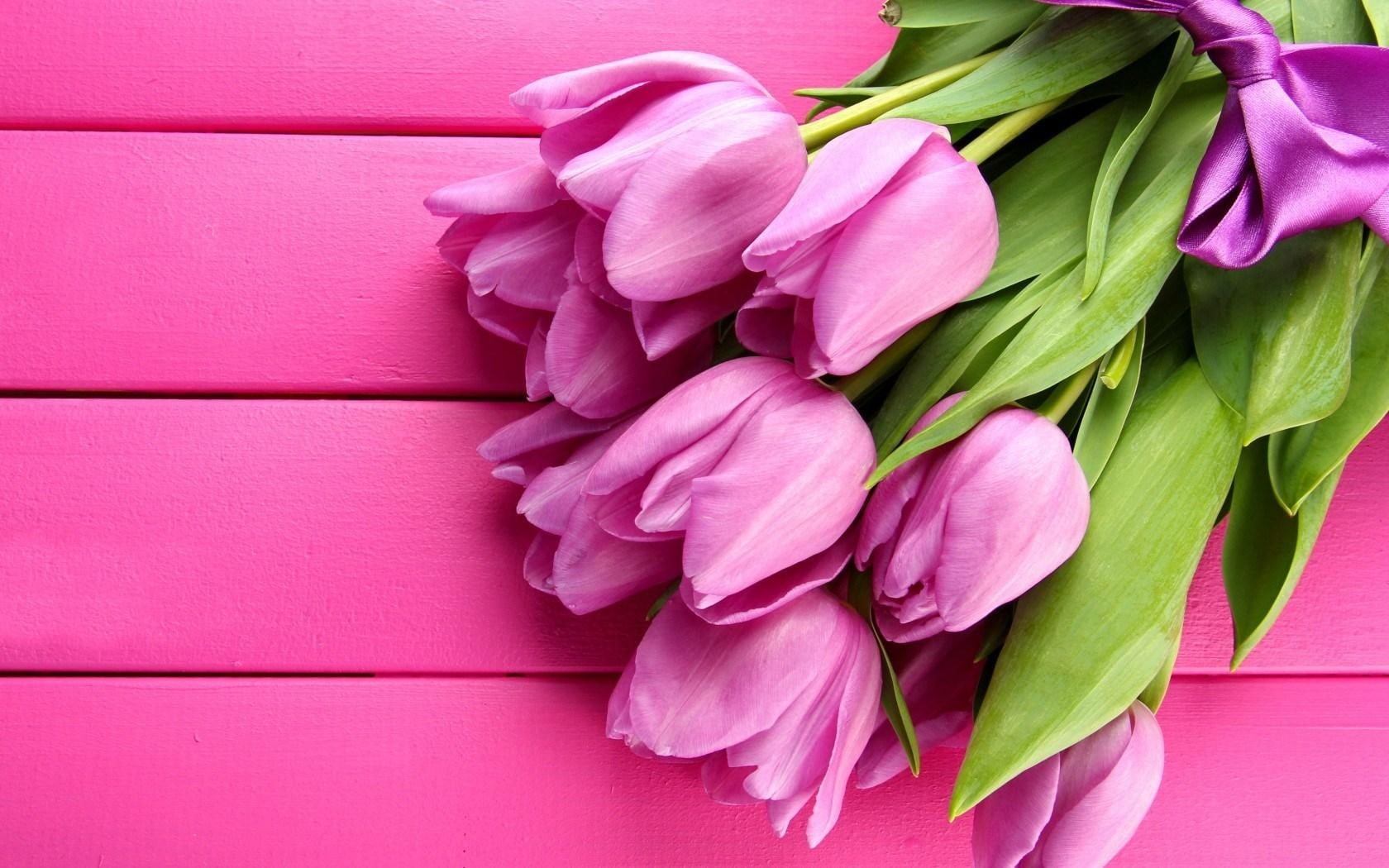 tulips, pink, spring, 720P, flowers, HD Wallpaper