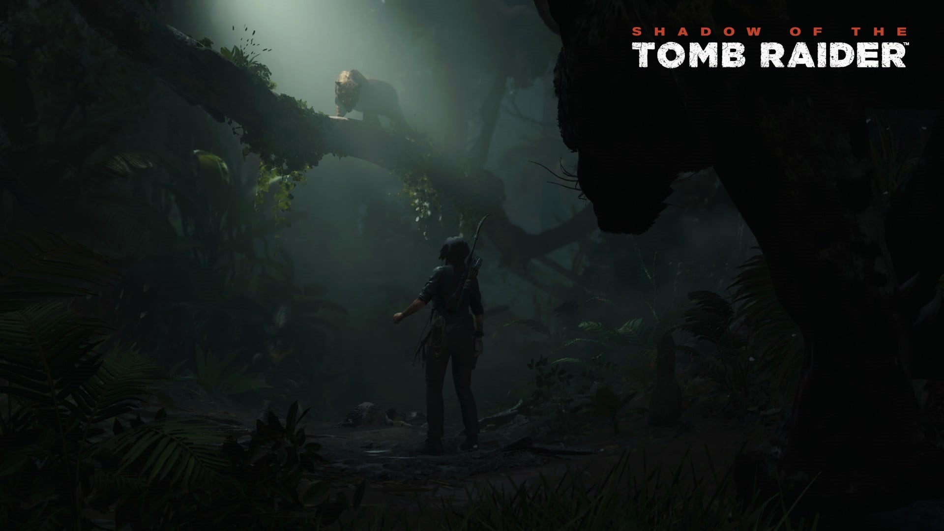 tree, Tomb Raider, real people, land, forest, outdoors, full length, Shadow of the Tomb Raider, activity, sign, communication, text, plant, people, standing, HD Wallpaper