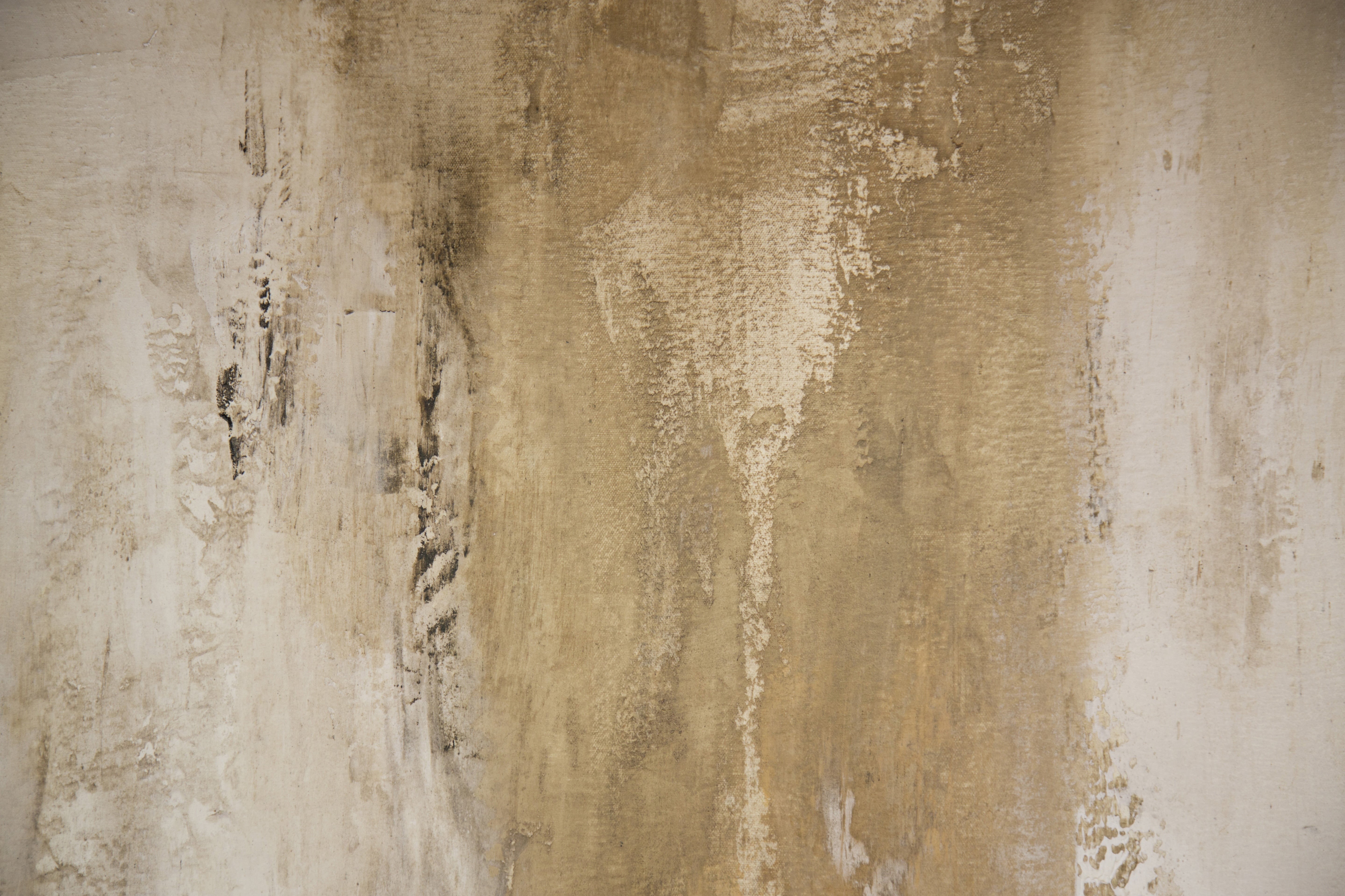 water, abstract, creative, wood - material, copy space, no people, 5K, decoration, white color, abstract backgrounds, textured effect, rustic, day, texture, HD Wallpaper
