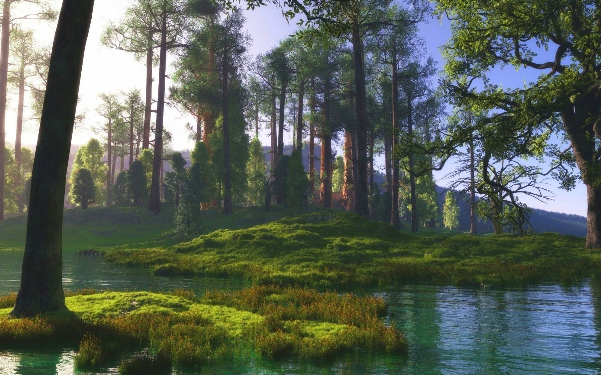beauty in nature, day, lake, non-urban scene, tranquility, tree trunk, sky, white, body, green, green color, water, forest, scenics - nature, plant, river, HD Wallpaper