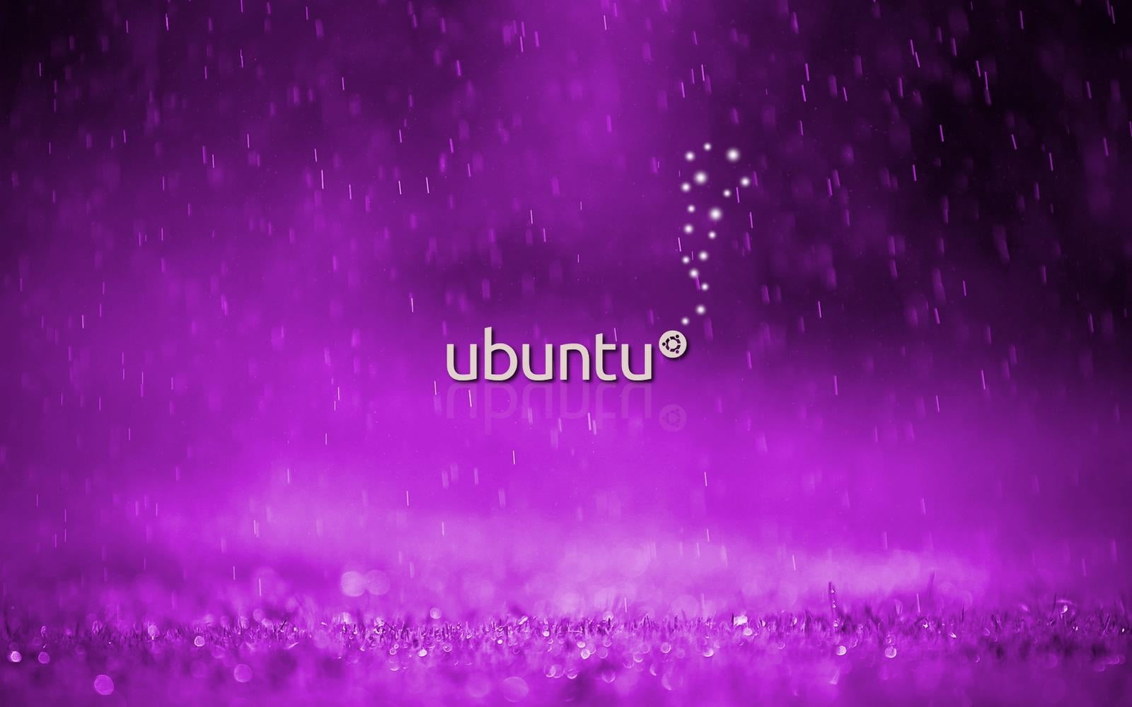 night, scenics - nature, close-up, rain, celebration, western script, nature, outdoors, abstract, Linux, cool, Computers, selective focus, text, purple, HD Wallpaper
