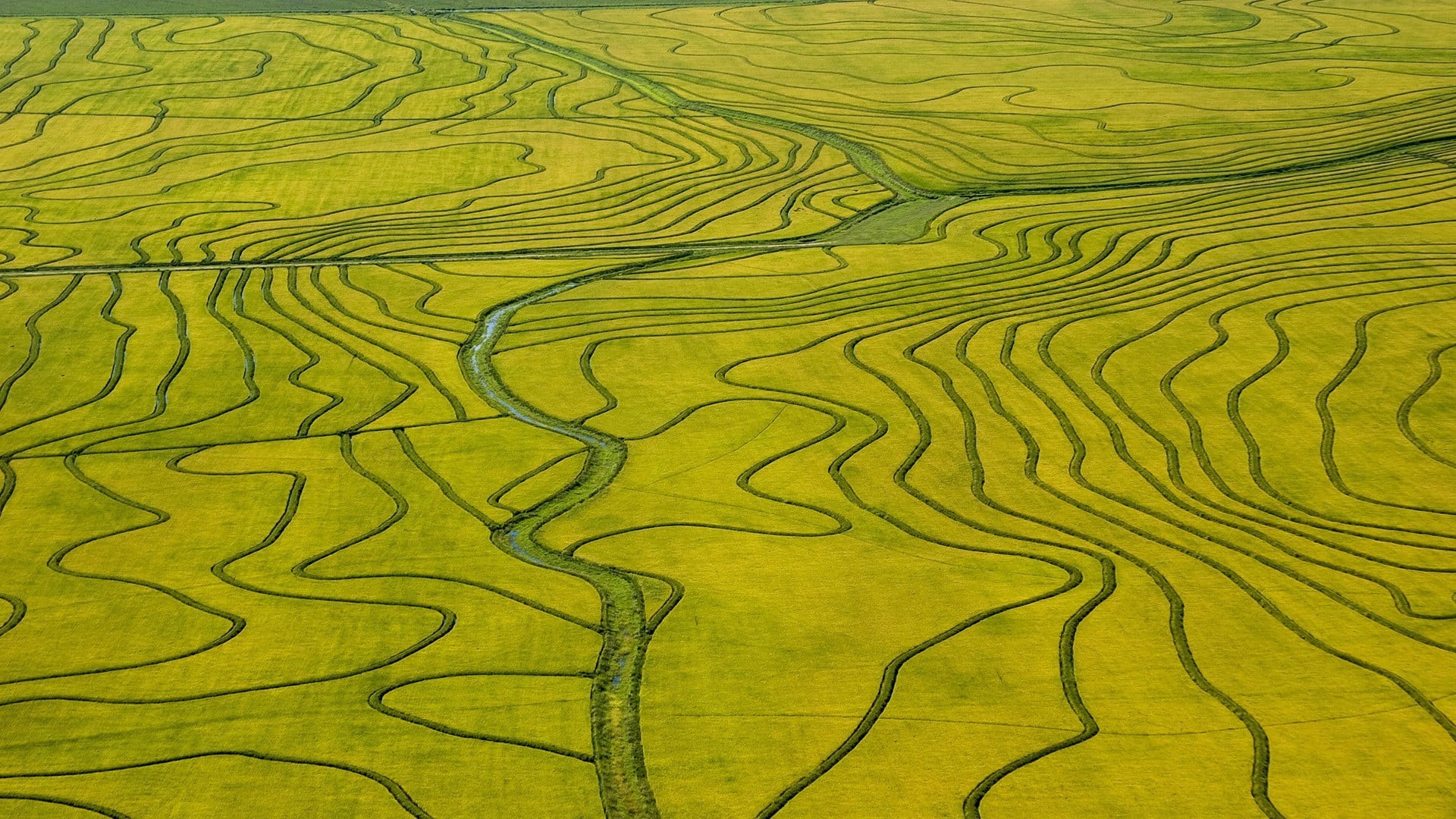 rural scene, 1080P, agriculture, rice - cereal plant, black, landscape, yellow, aerial view, full frame, tranquil scene, field, rice paddy, scenics - nature, HD Wallpaper