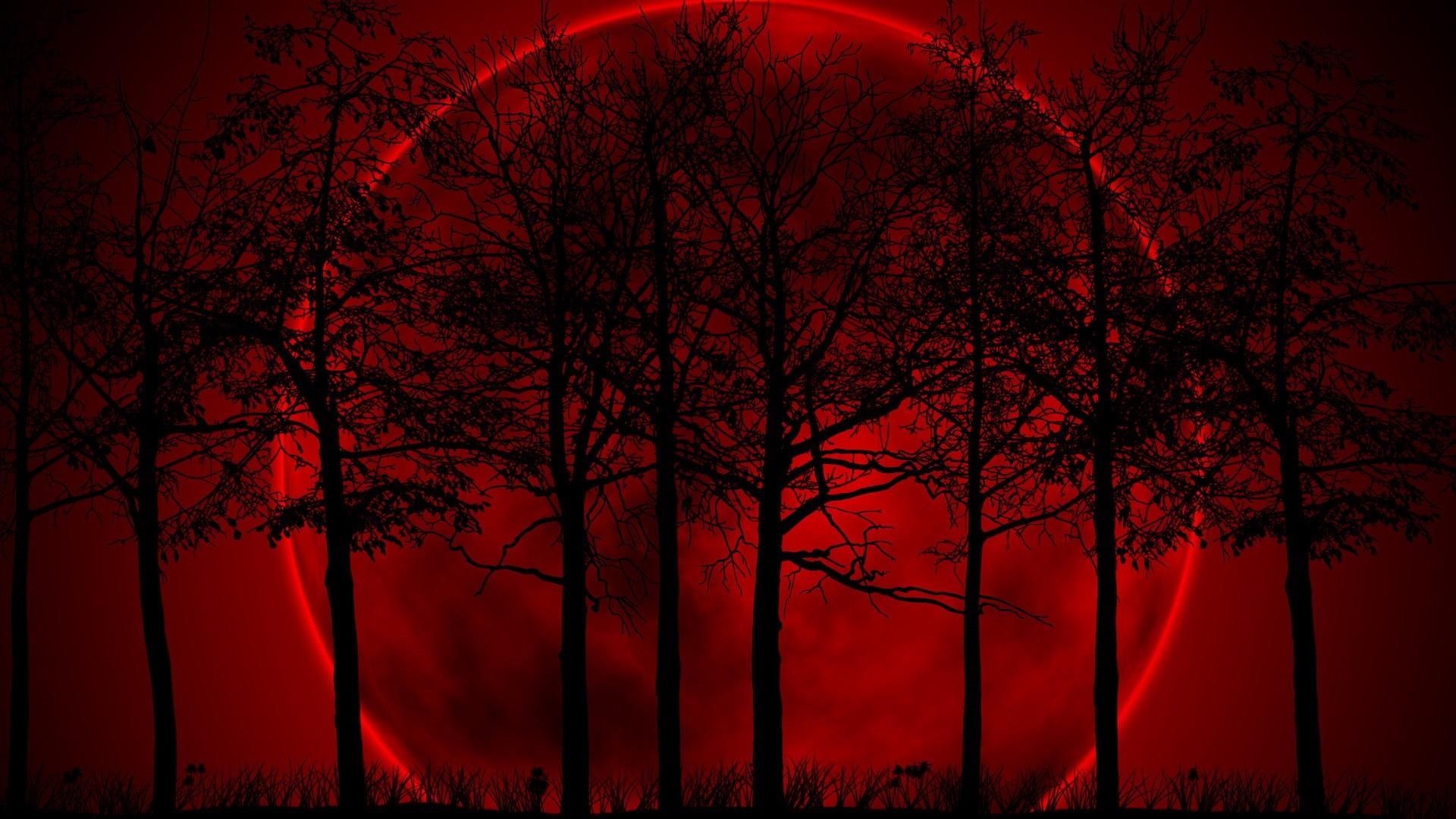 fantasy, night, full moon, moon, black, silhouette, red sky, trees, red, 1080P, HD Wallpaper