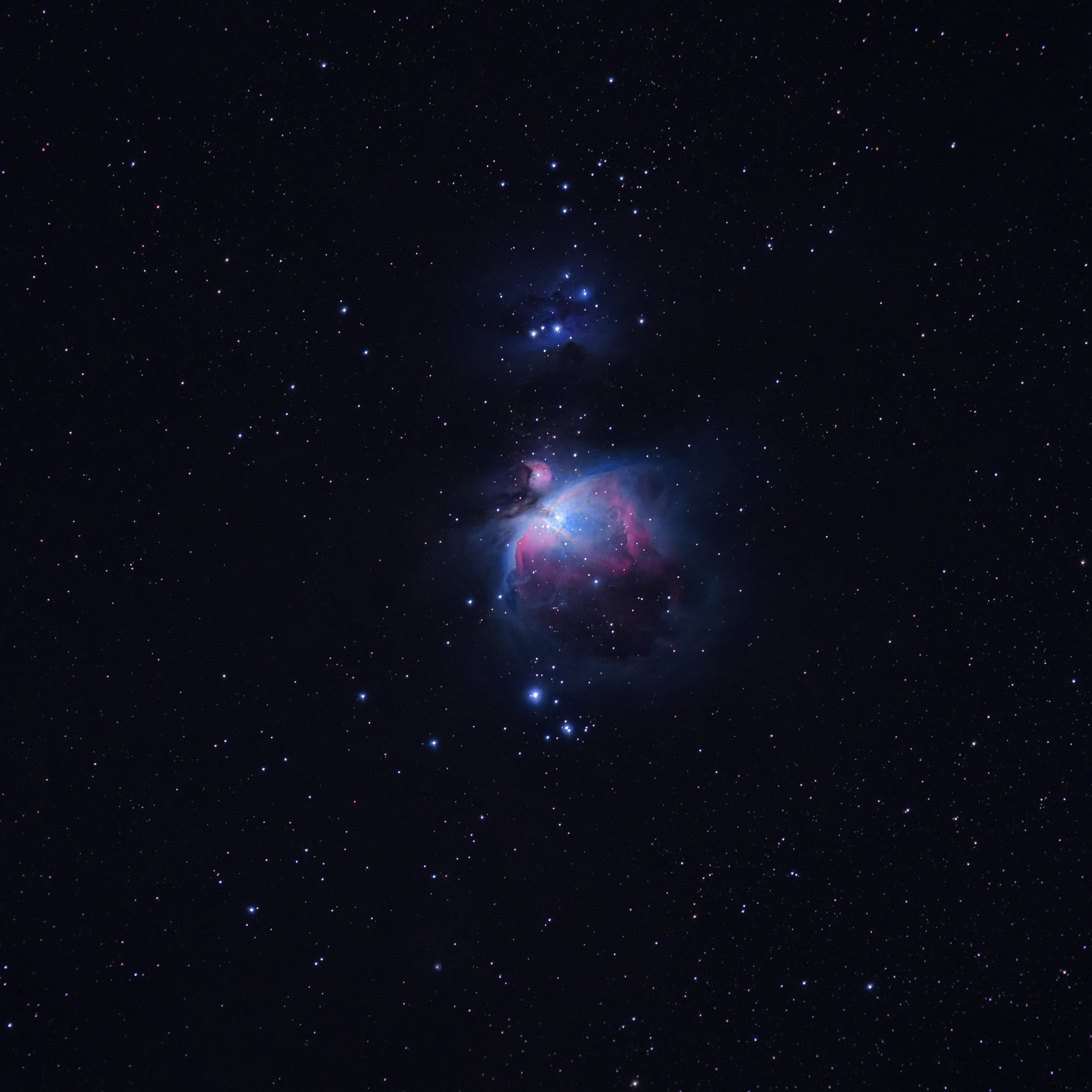 constellation, scenics - nature, sky, luminosity, astronomy telescope, Great Orion Nebula, nature, science, blue, bright, no people, stars, outdoors, 1080P, Phone HD Wallpaper