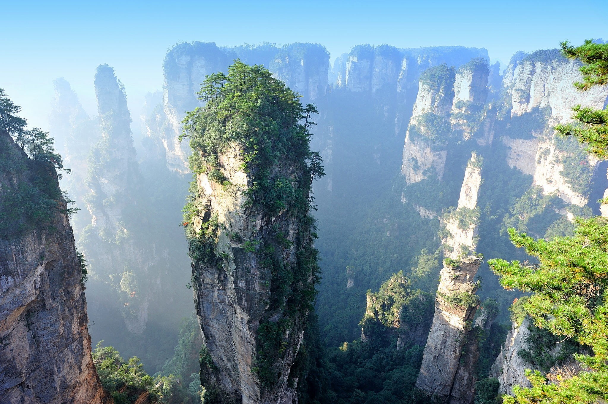 travel, plant, tourism, growth, scenics, stone - Object, canyon, hunan Province, environment, zhangjiajie, plants, scenics - nature, beauty In Nature, mountain range, HD Wallpaper