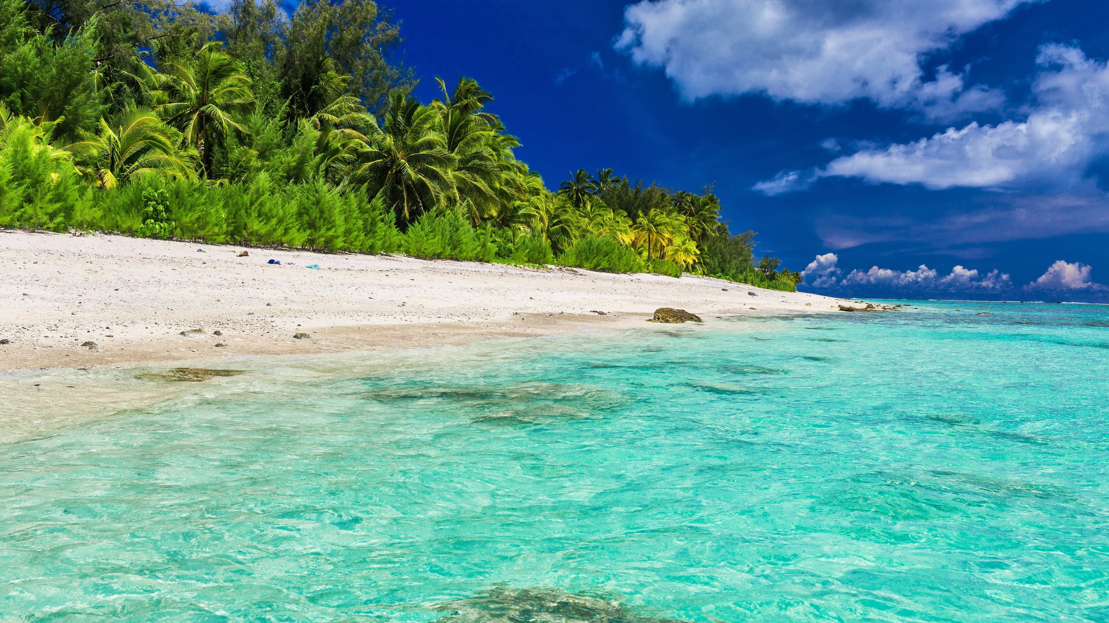 water, maldives, summer, sea, tropical, 4K, shore, lagoon, vacation, beach, coast, ocean, turquoise, caribbean, tropical beach, palm, bay, tropics, island, HD Wallpaper