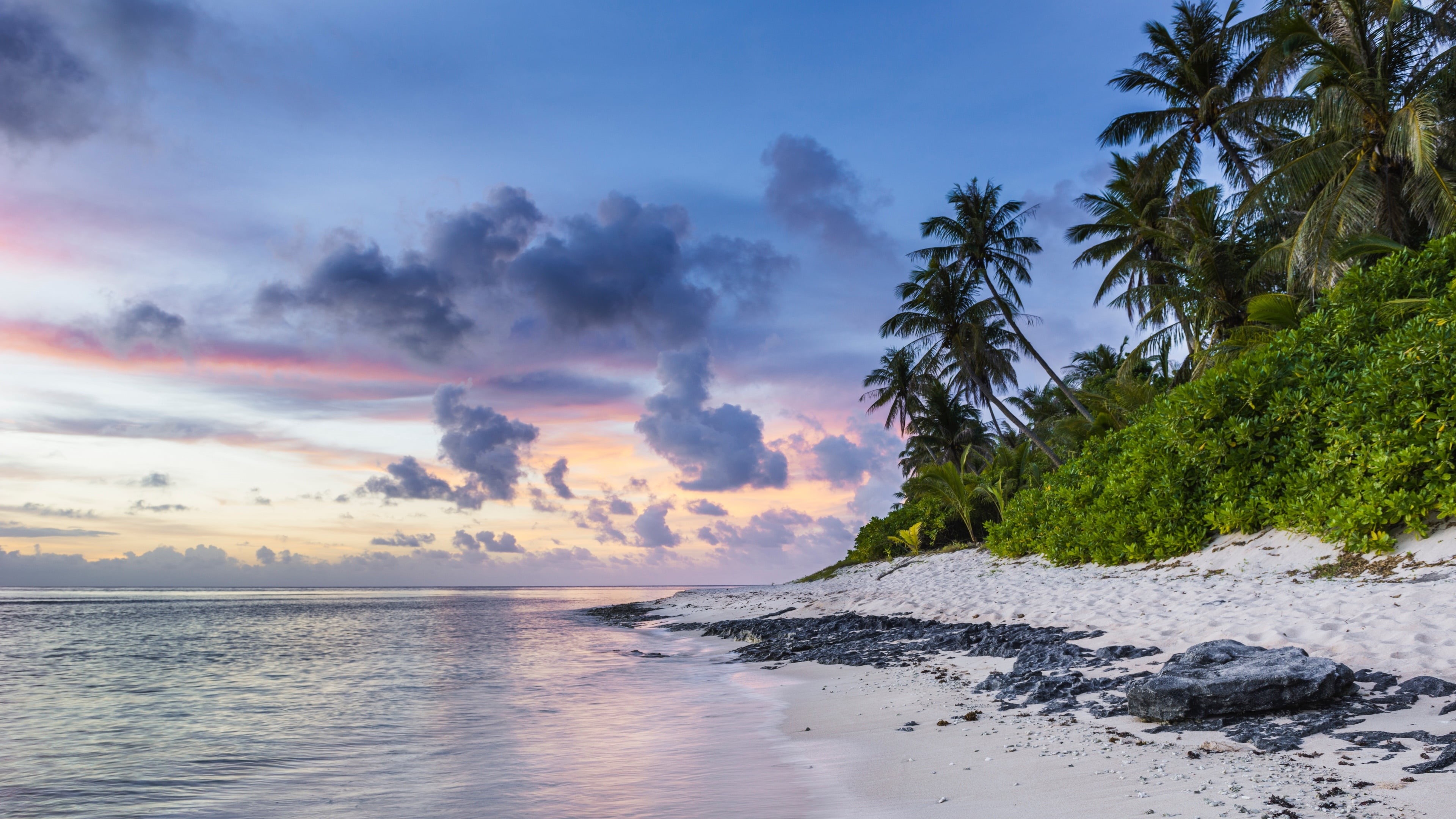 non-urban scene, water, ocean, tropical beach, no people, tropics, idyllic, tropical climate, day, coconut palm tree, shore, cloud, sea, plant, cloud - sky, HD Wallpaper