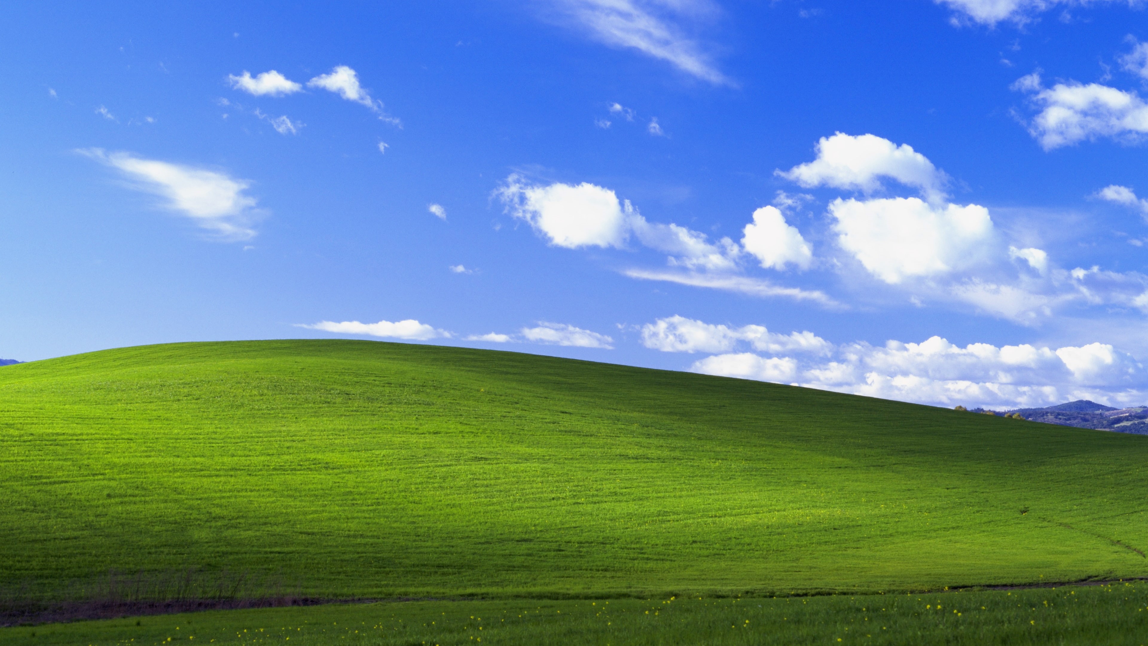 Landscape, Windows XP, green, grass, 4K, 4K, Stock, Bliss, field, HD Wallpaper