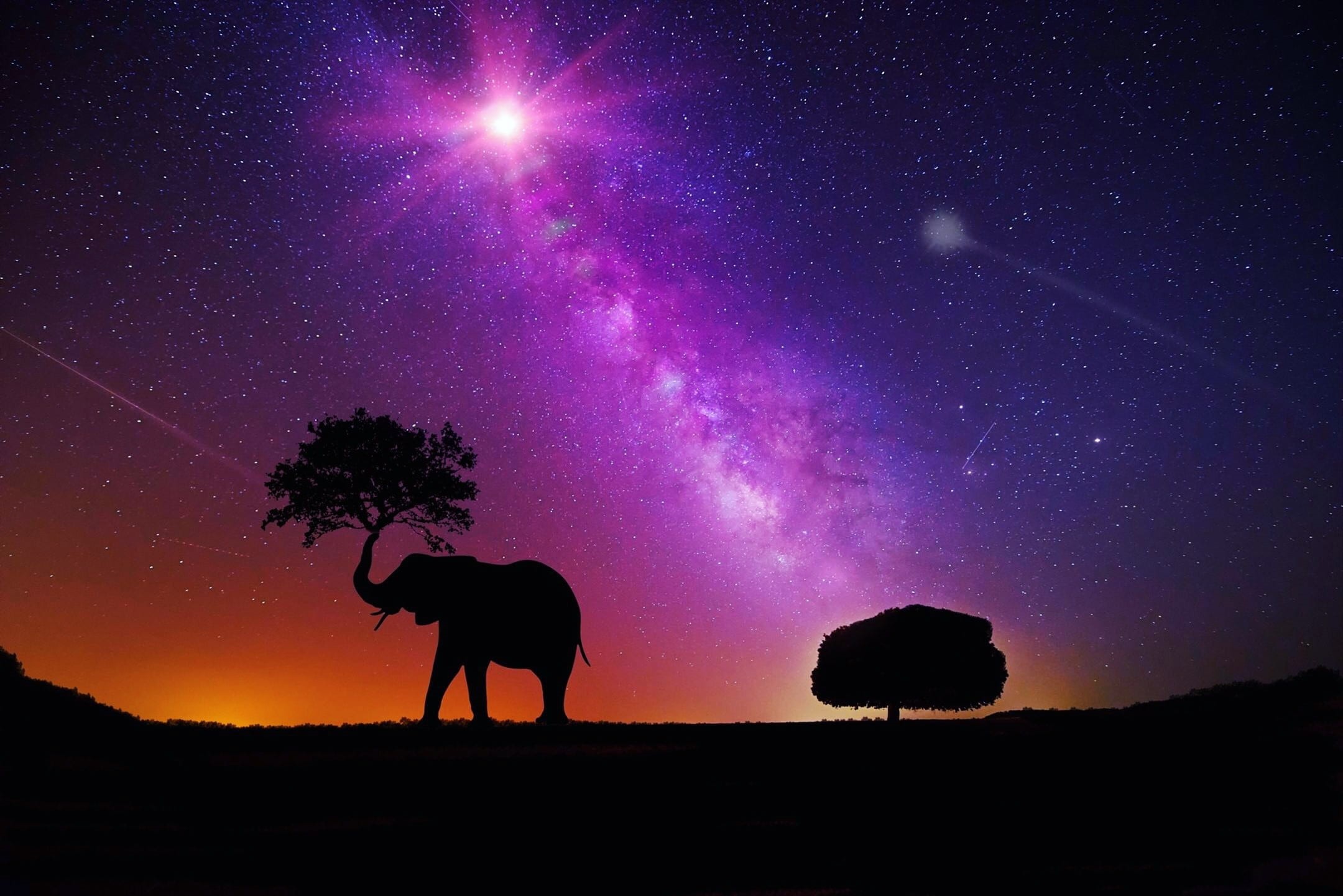 digital, elephant, scenics - nature, nature, star - space, animal themes, tree, light, 1080P, visual art, galaxy, starry, astronomy, space, silhouette, HD Wallpaper