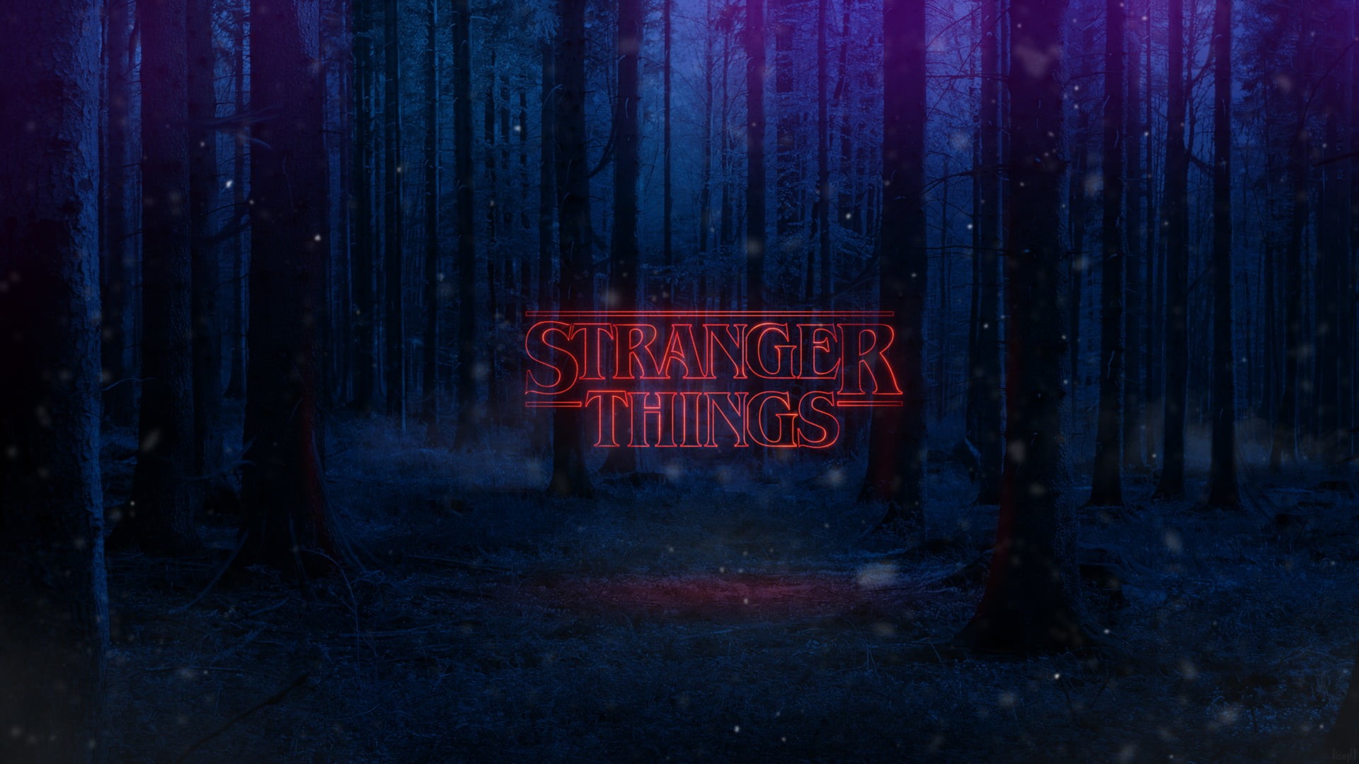 Stranger Things, movies, TV, wood, tv series, 1080P, Netflix, Netflix TV Series, HD Wallpaper