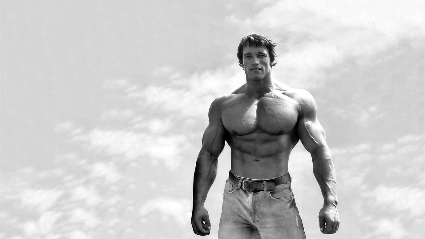 720P, Arnold Schwarzenegger, Actors, HD Wallpaper