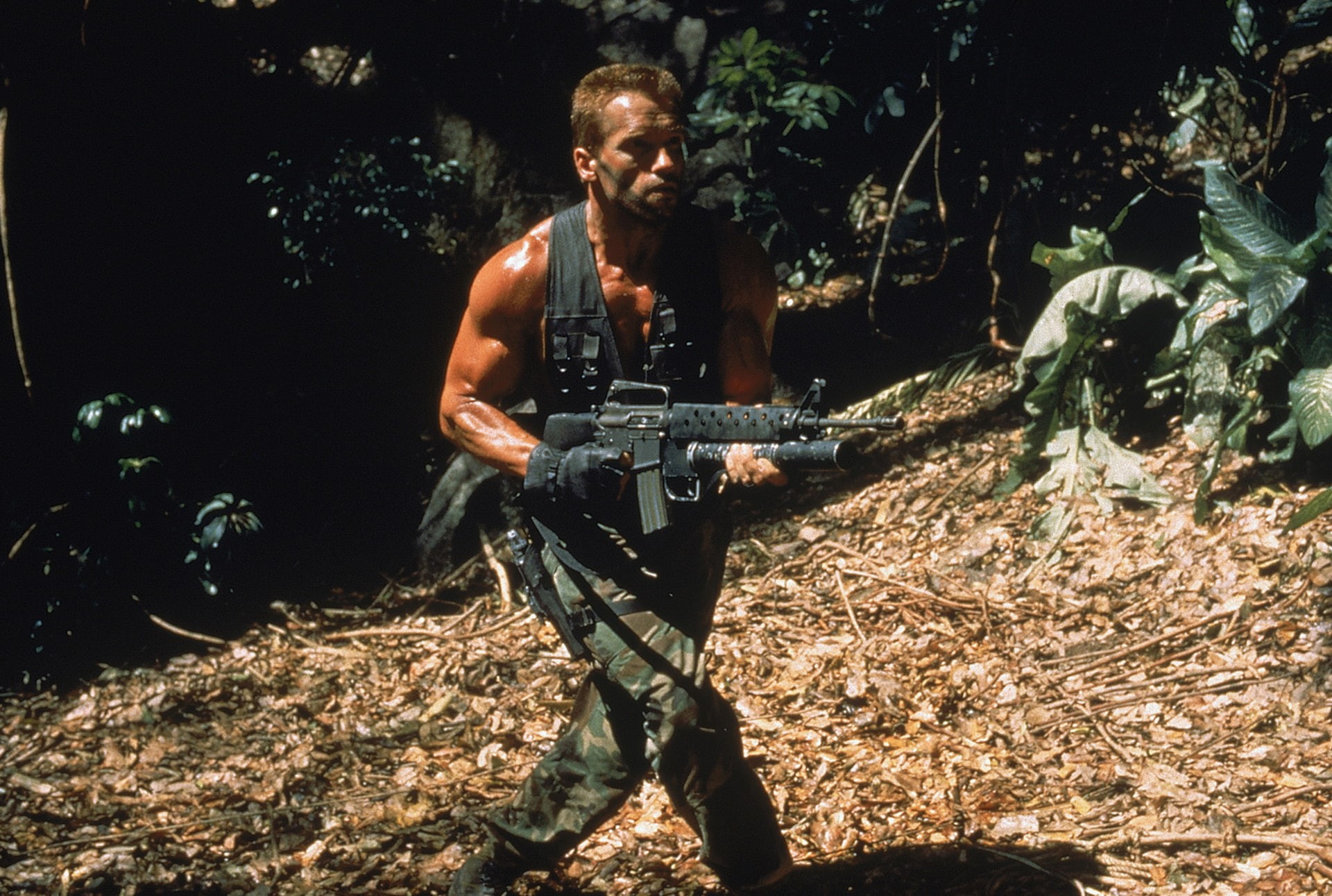 jungle, machine gun, sign, one person, soldiers, real people, men, military, young men, nature, holding, lifestyles, rifle, front view, aggression, 1080P, HD Wallpaper