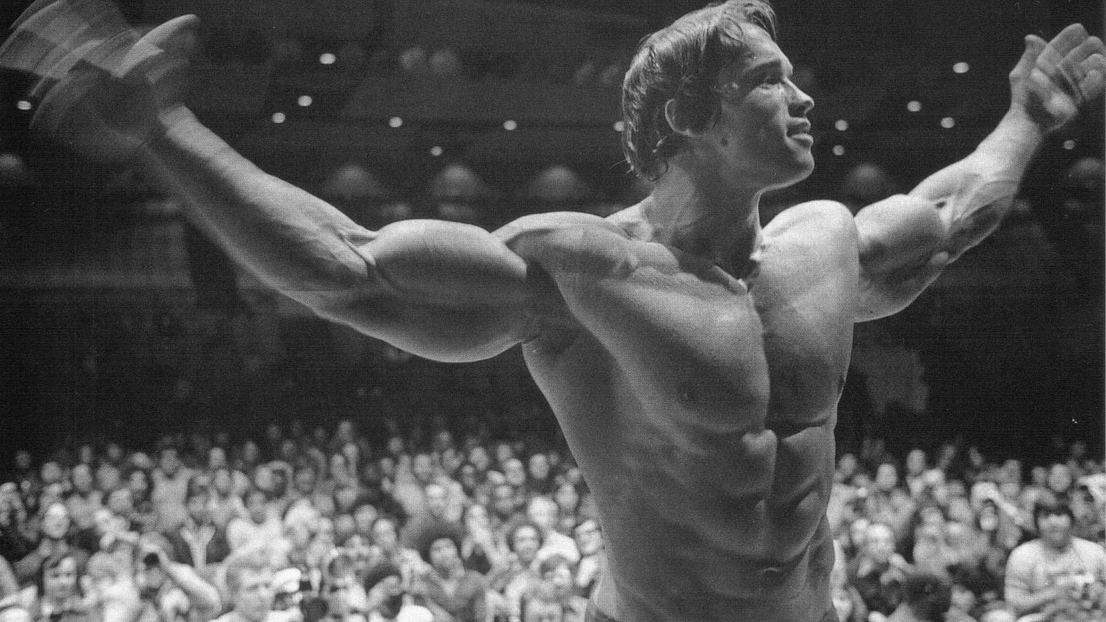 sport, people, adult, Bodybuilder, shirtless, real people, stage - performance space, Arnold Schwarzenegger, popular music concert, group of people, festival, HD Wallpaper