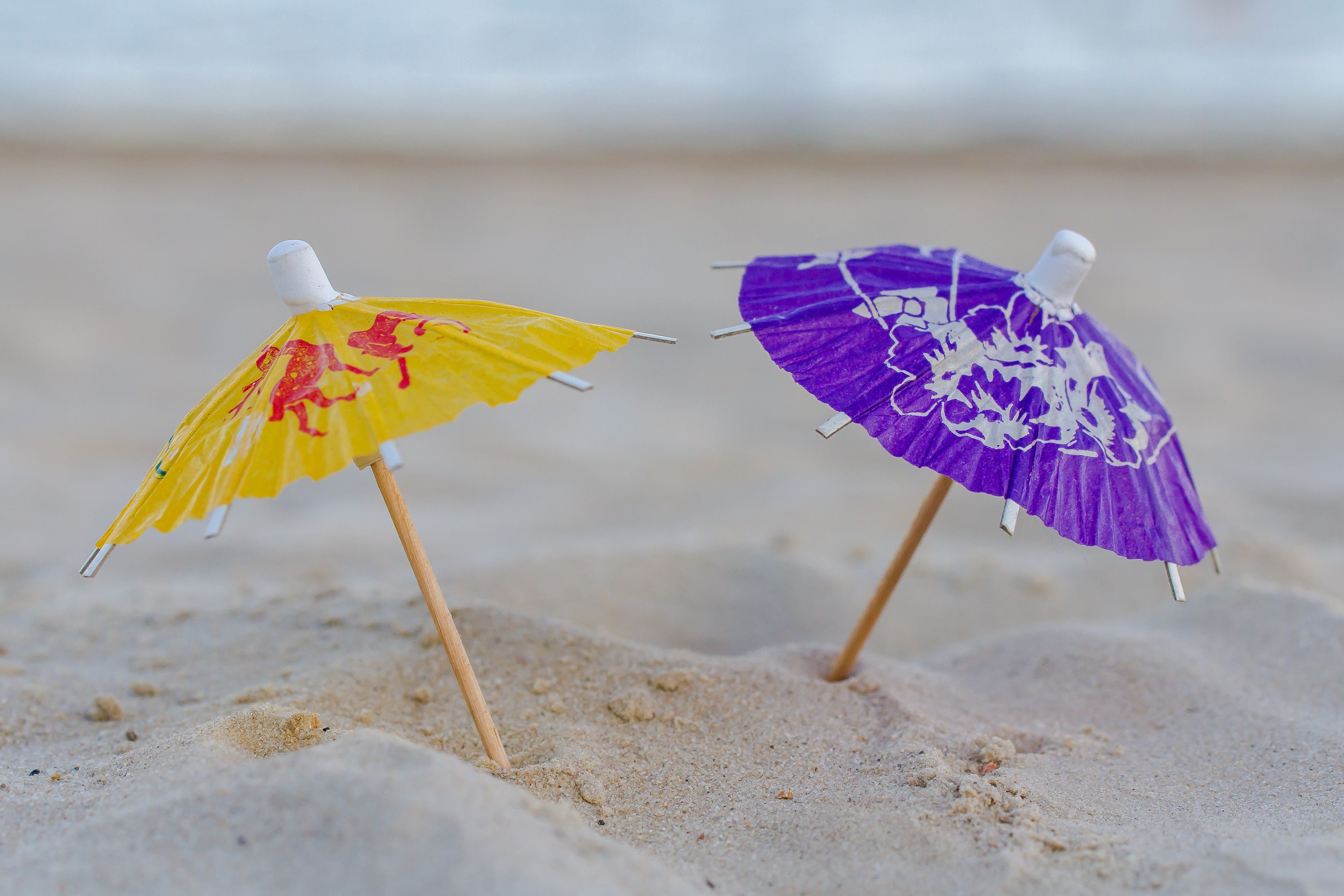 nature, color, tranquility, two, heiss, holiday, no people, animal wing, animal themes, micro, day, land, summer, beauty in nature, sun protection, parasol, HD Wallpaper
