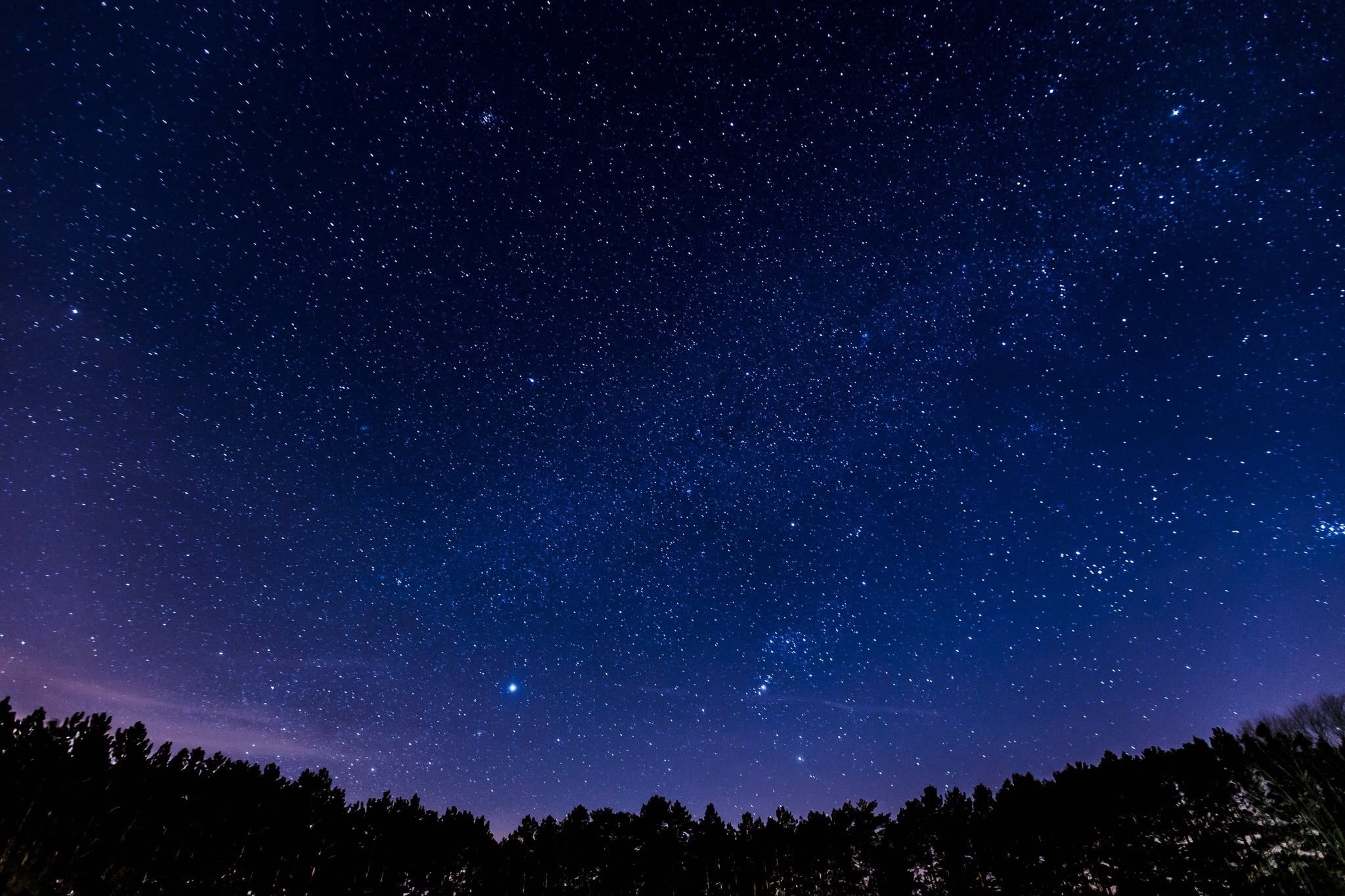 stars, star, milky way, tree, no people, scenics, cosmos, beauty in nature, purple, silhouette, bright, tranquility, tranquil scene, night, illuminated, HD Wallpaper
