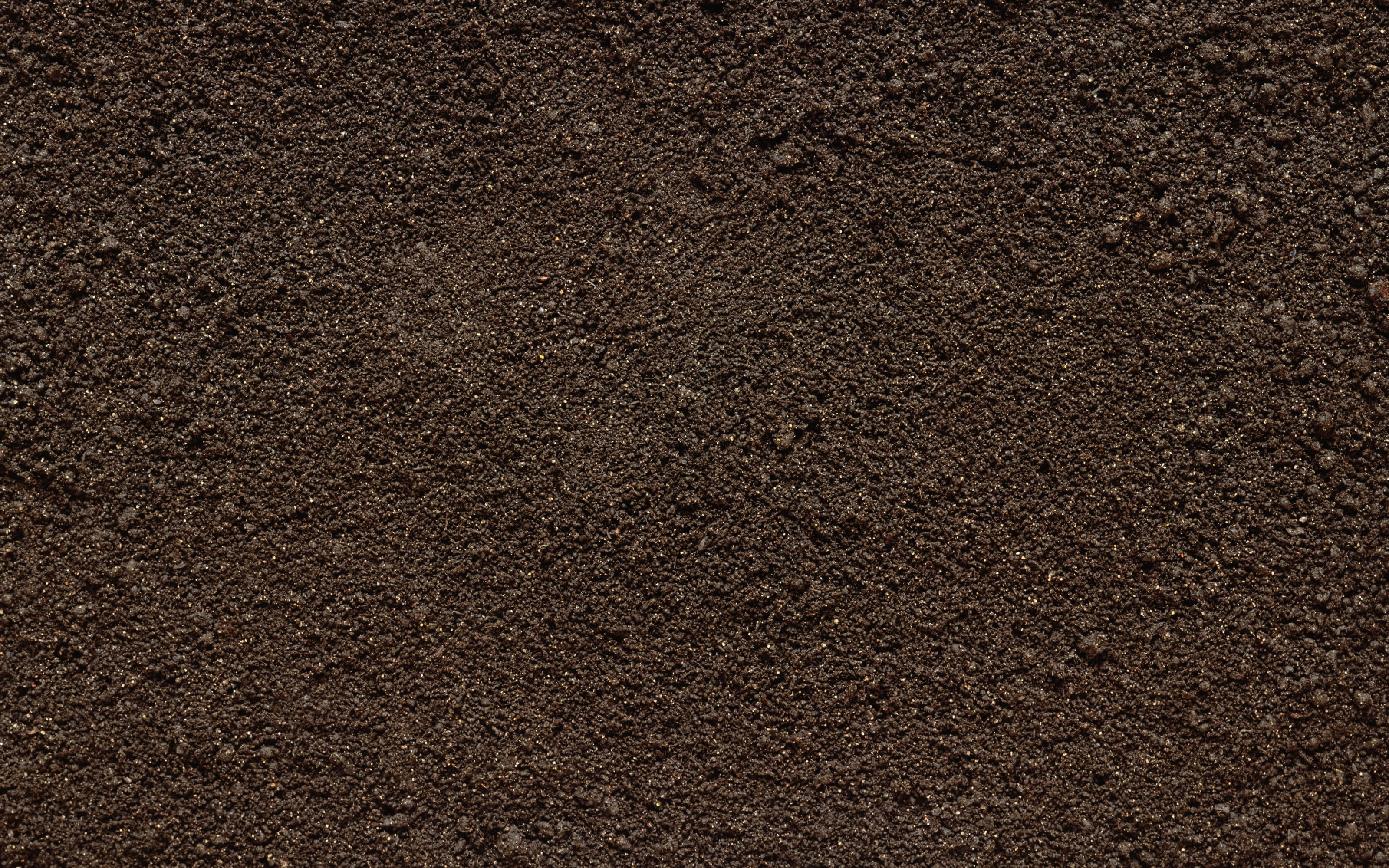 rough, macro, old, textured, surface level, texture, dark, concrete, blank, full frame, dirt, soil, sand, architecture, food, pattern, extreme close-up, HD Wallpaper