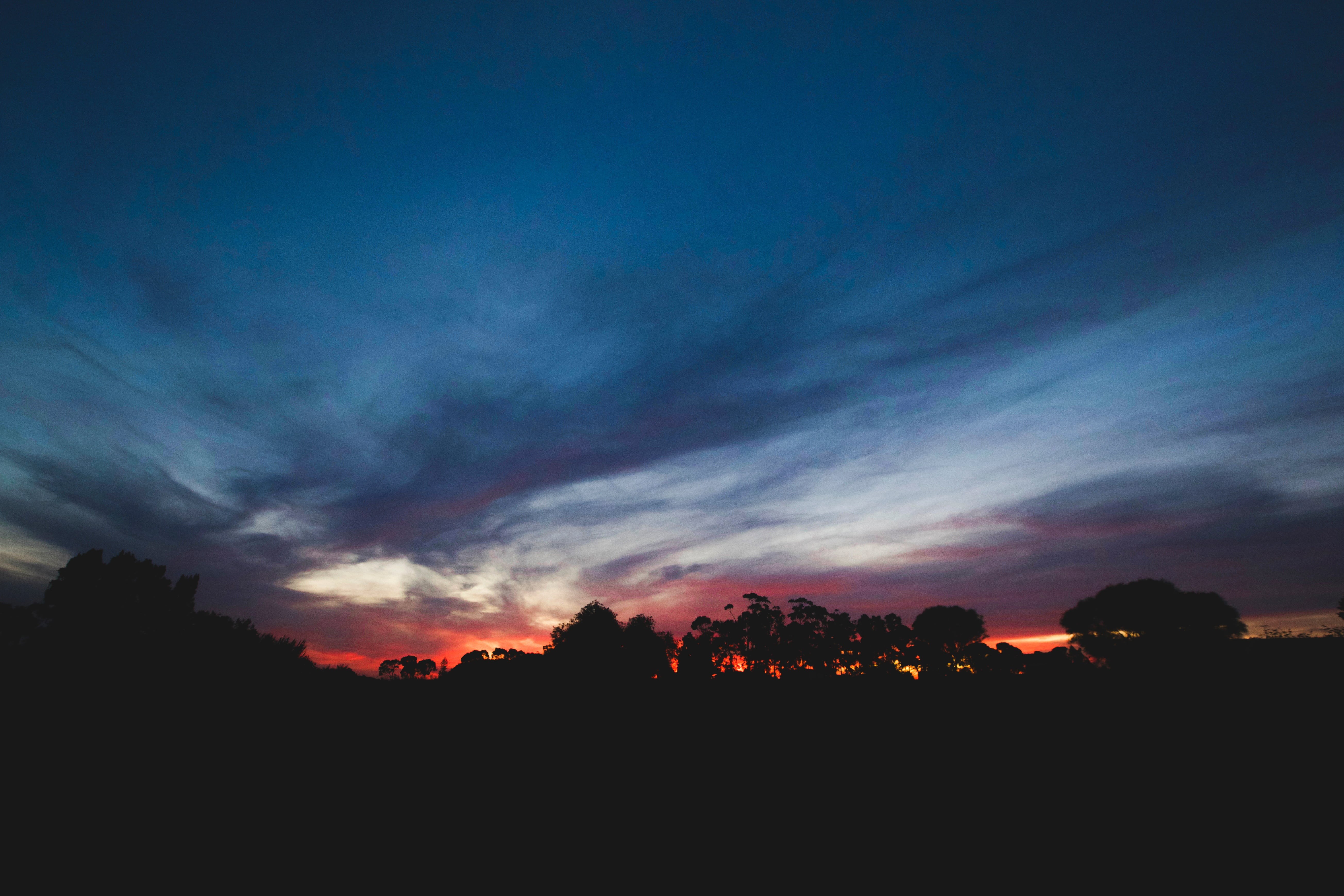 scenics, beauty in nature, plant, dark, landscape, environment, trees, outdoors, 5K, sunset, land, tranquil scene, clouds, scenics - nature, nature, idyllic, HD Wallpaper