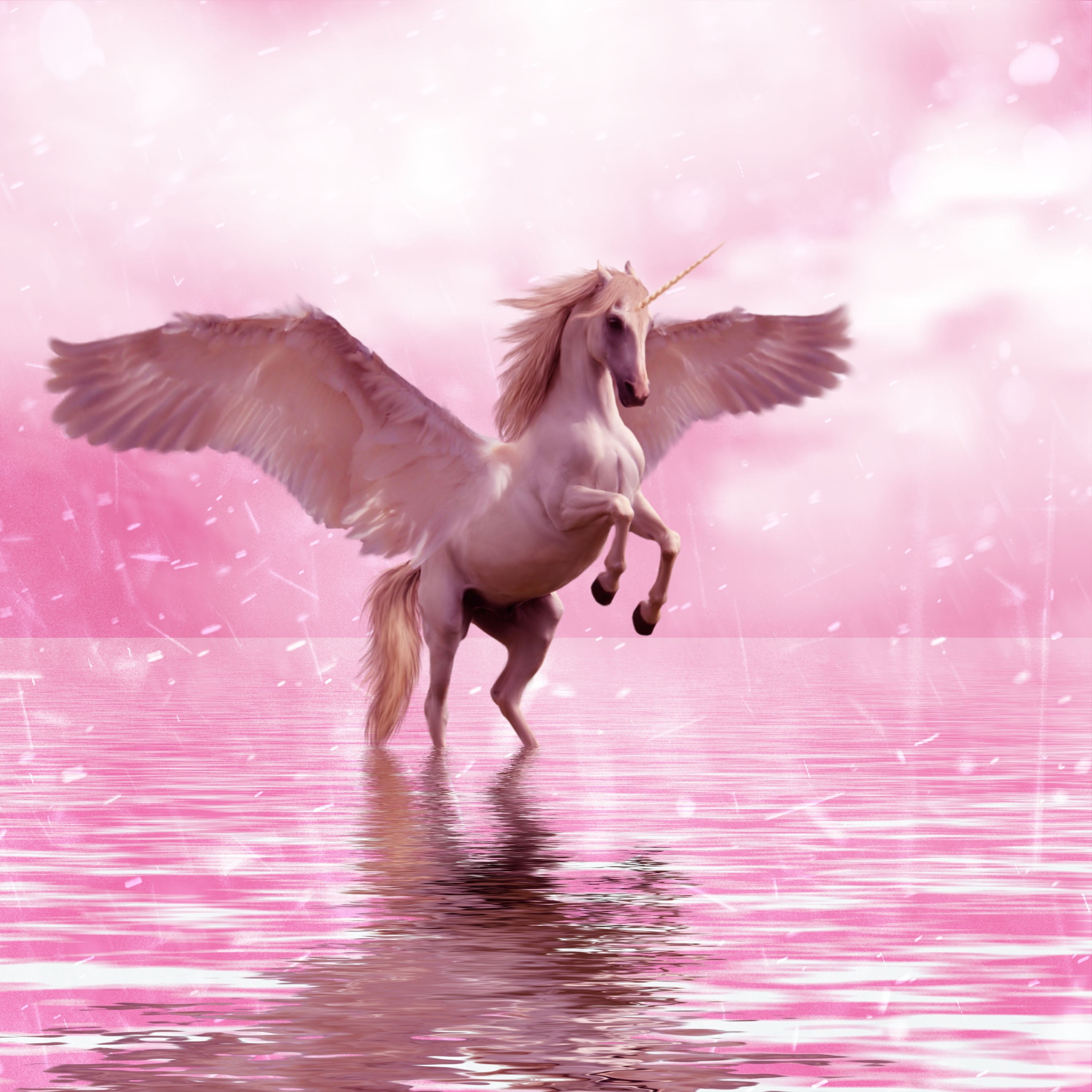 body, vertebrate, spread wings, nature, running, animal themes, fantasy, animal wing, unicorn, animals in the wild, wings, 2K, flapping, animal, mid-air, Phone HD Wallpaper