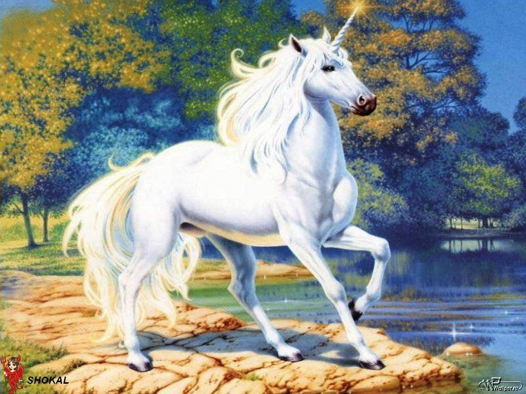 pets, herbivorous, domestic animals, no people, illustration, domestic, one animal, side view, plant, motion, unicorn, animal wildlife, water, white, mammal, HD Wallpaper