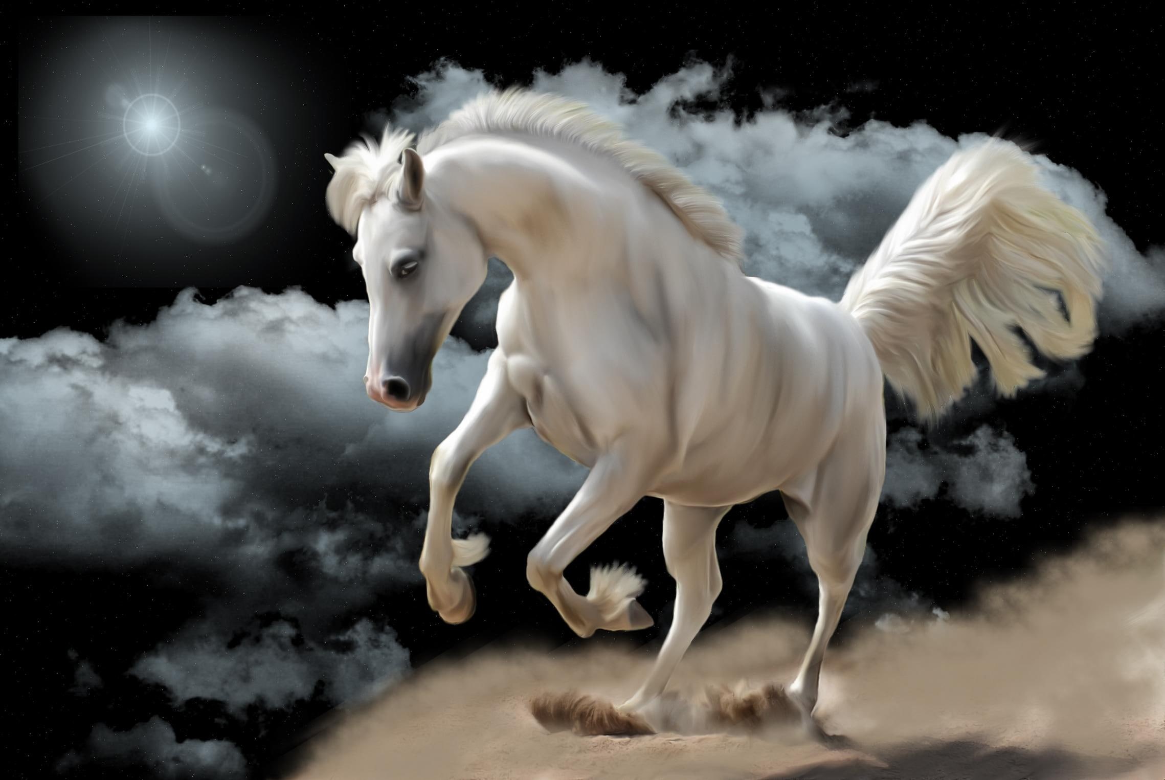 fantasy, clouds, 1080P, horse, white, animals, HD Wallpaper