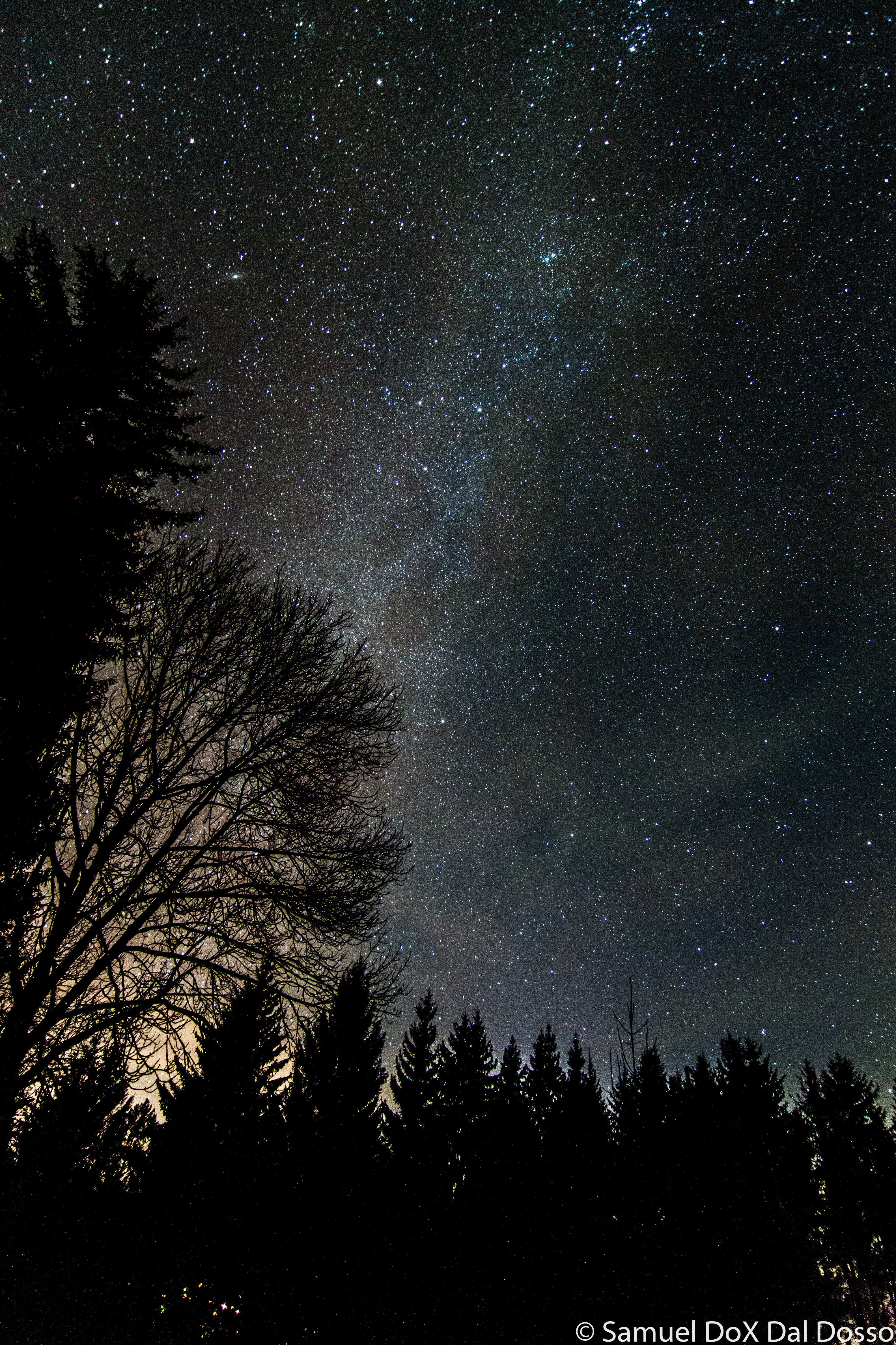 no people, beauty in nature, galaxy, scenics - nature, star field, outdoors, star, star - space, astronomy, idyllic, tranquil scene, milky way, night, plant, Phone HD Wallpaper
