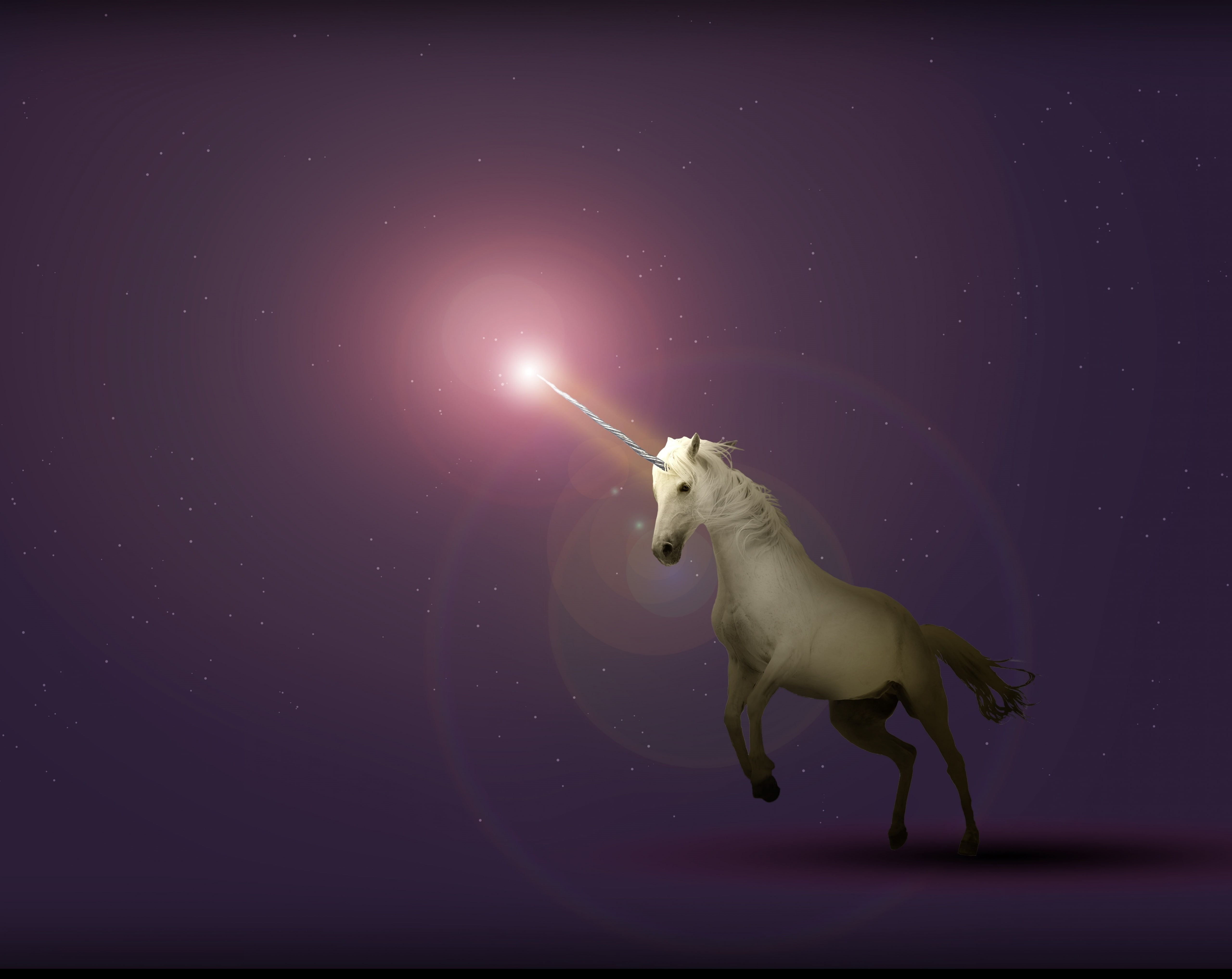 animal representation, aggression, Light, vertebrate, nature, animal wildlife, glowing, white, Fantasy, representation, sign, domestic, Unicorn, one animal, HD Wallpaper