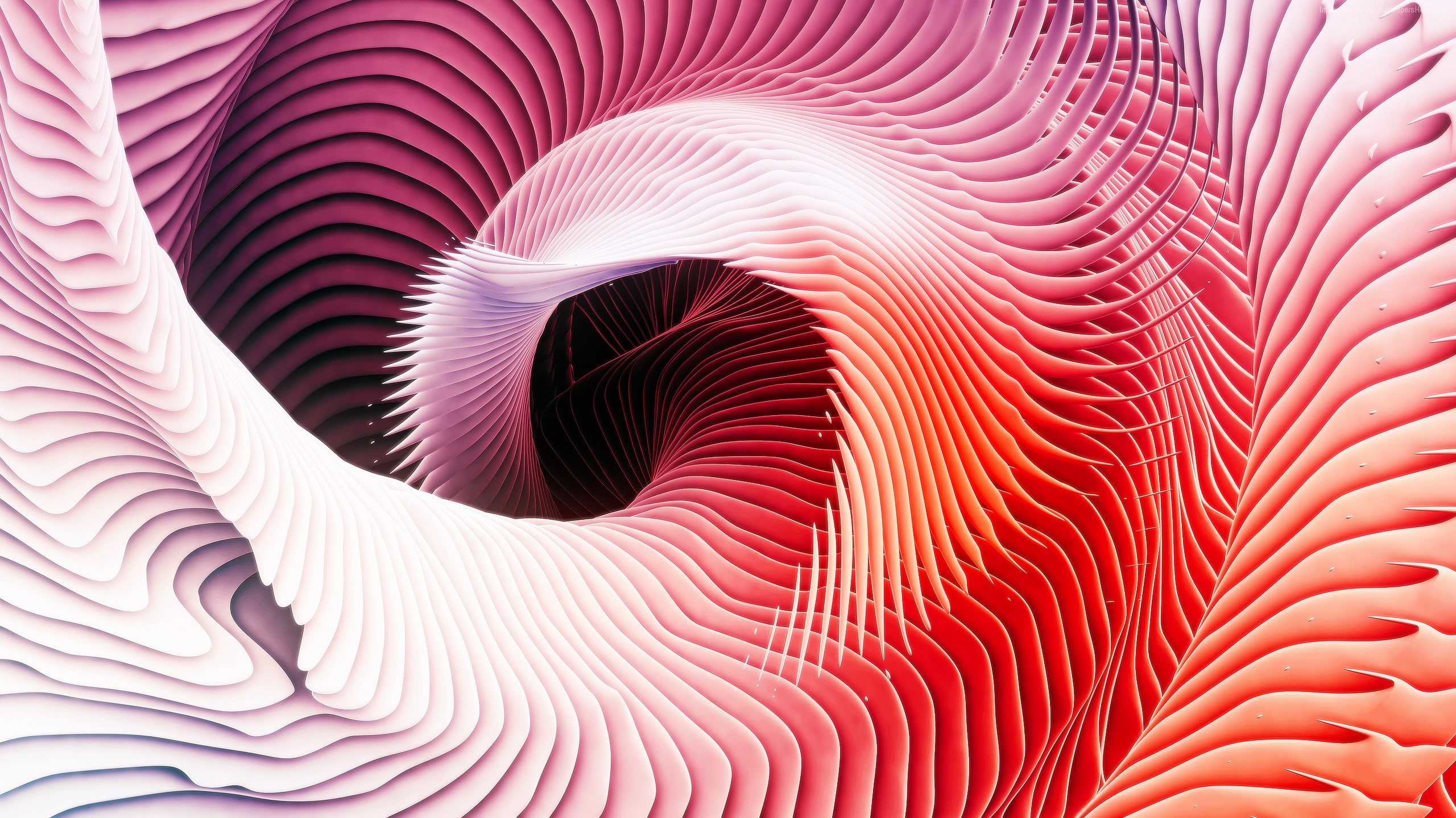 2K, 5k, 3D, 4k, Apple, MacBook Pro, iPhone, live, HD Wallpaper