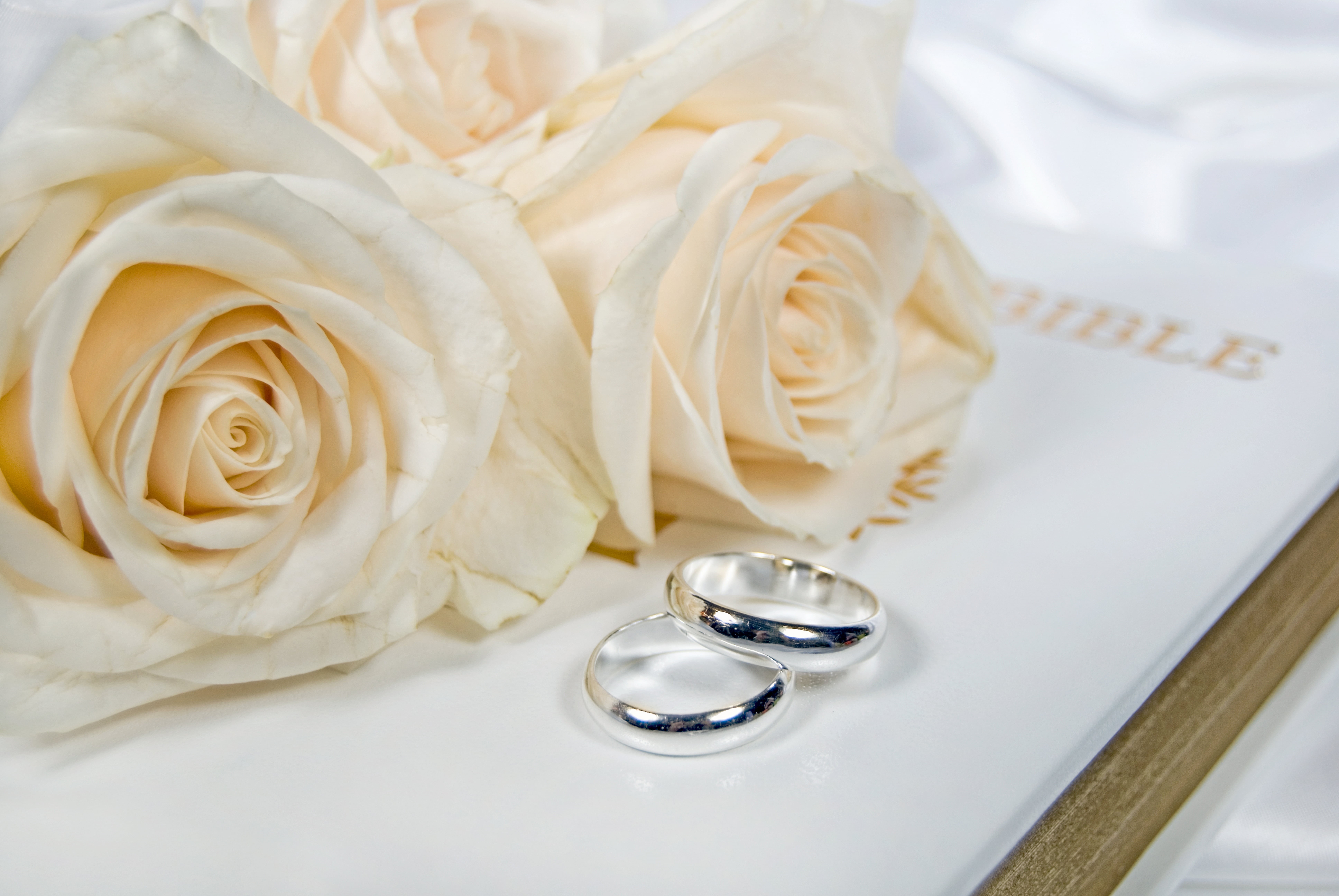white, romance, petal, engagement Ring, flowers, celebration, nature, ceremony, engagement rings, beauty in nature, love, flowering plant, flower arrangement, HD Wallpaper