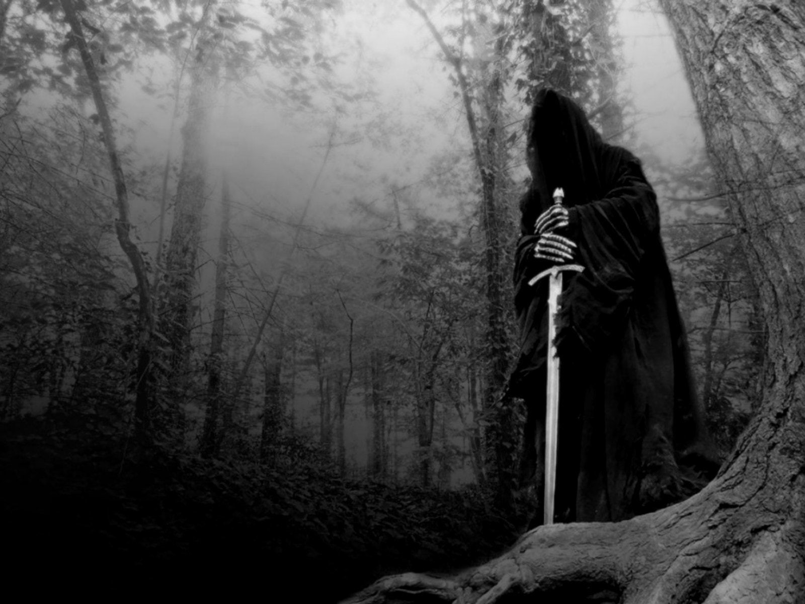 king, rings, ring, witch, 720P, fellowship, lord, HD Wallpaper