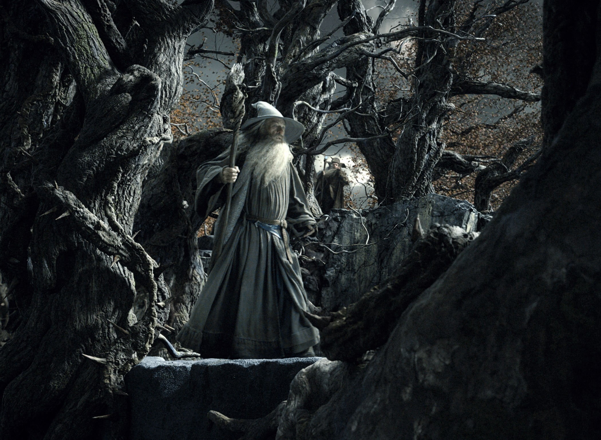 real people, history, nature, The Hobbit: The Desolation of Smaug, creativity, Radagast, art and craft, male likeness, architecture, human representation, HD Wallpaper