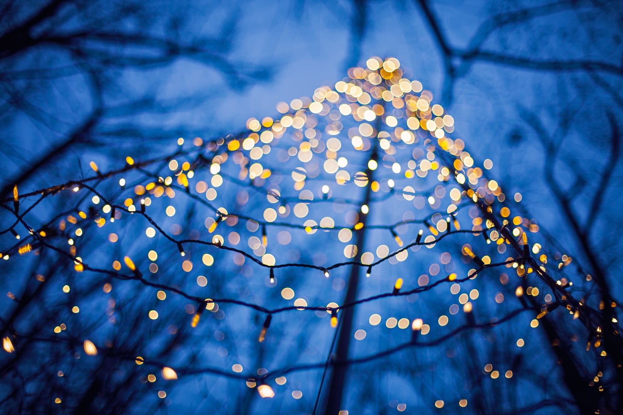 low angle view, bokeh, growth, light - Natural Phenomenon, string, selective focus, blue, abstract, christmas lights, 1080P, led, sky, illuminated, close-up, HD Wallpaper