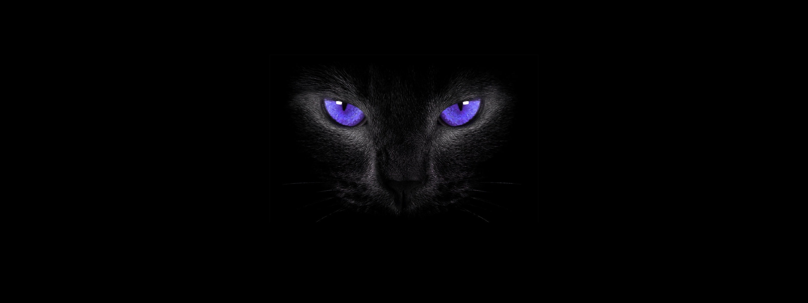 smoky eyes, simple background, 2K, cat eyes, black cats, cat, HD Wallpaper