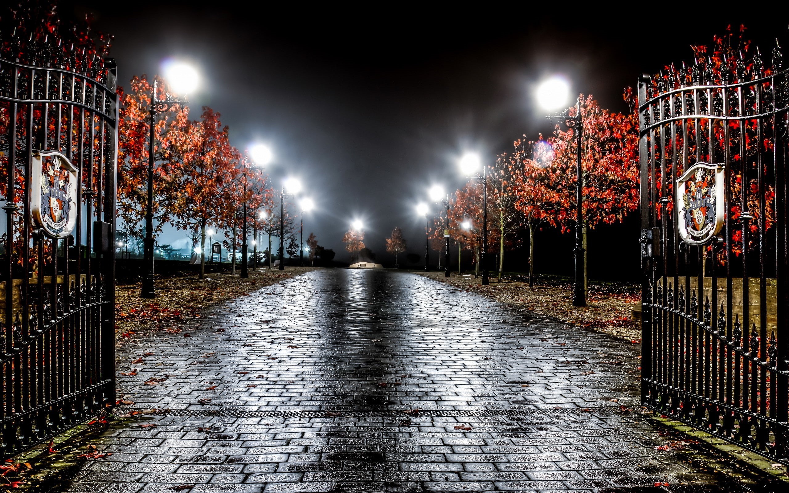 road, trees, artificial lights, leaves, gates, 2K, HD Wallpaper