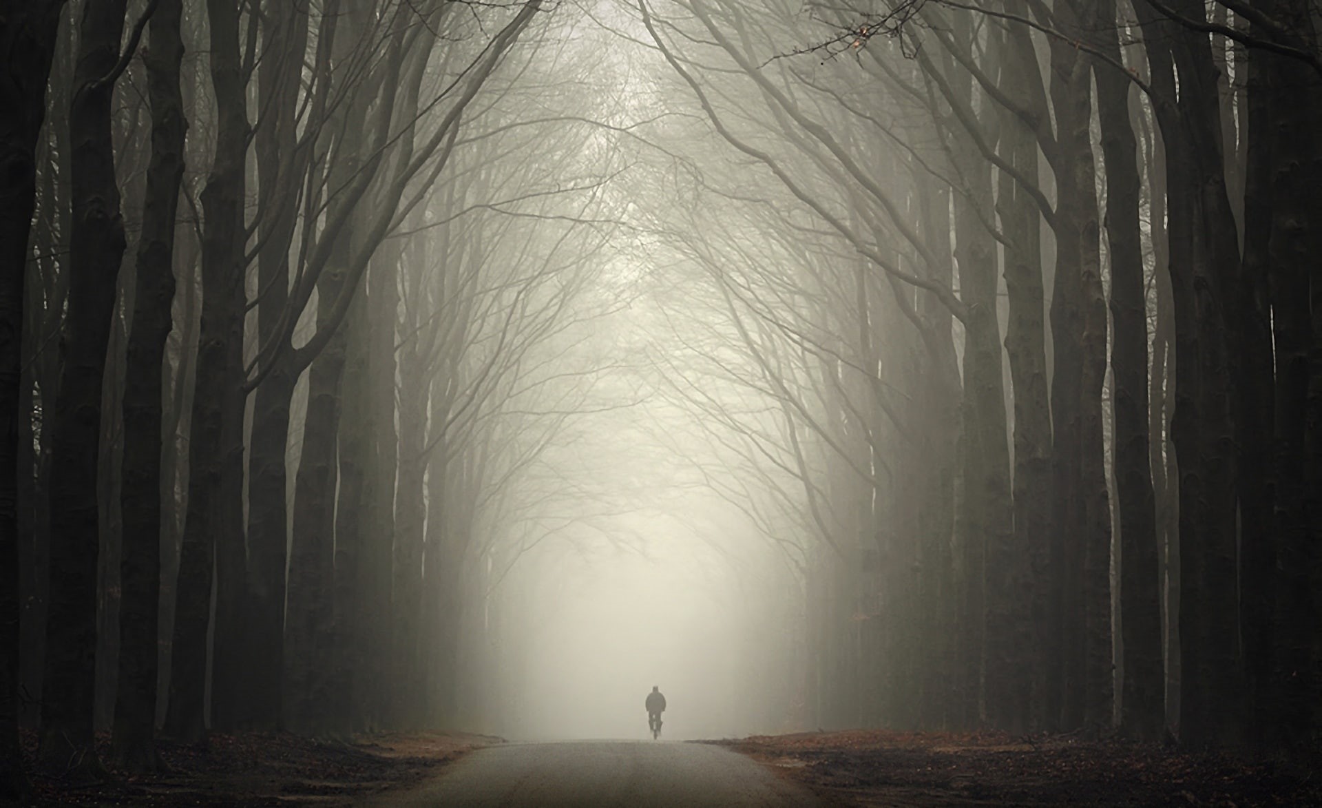 trees, sadness, Autumn, 1080P, cool, fall, Seasons, dark, loneliness, bicycle, HD Wallpaper