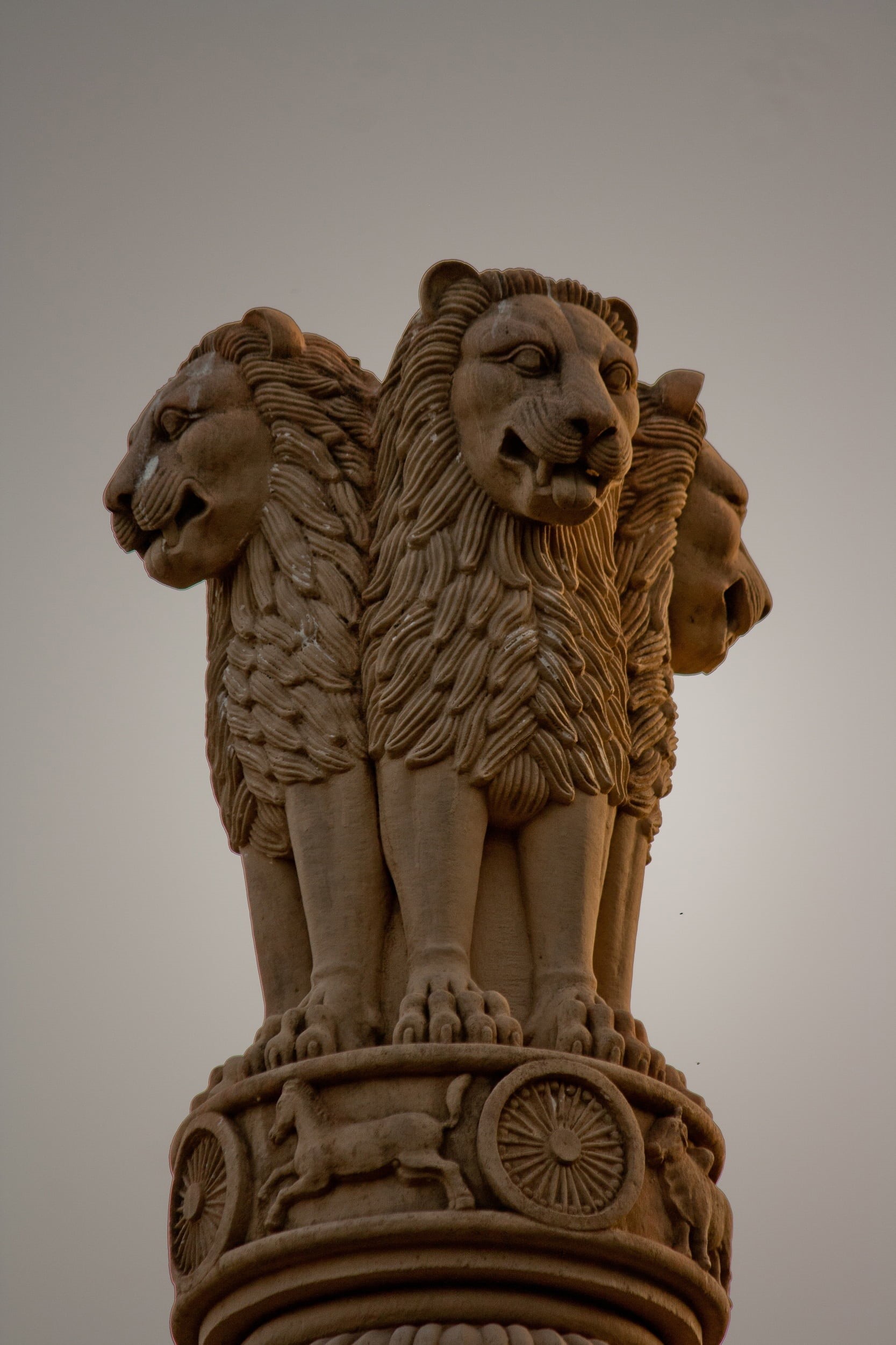 sculpture, india, carving - craft product, representation, history, mammal, pillar, animal wildlife, ornate, lion - Feline, the past, emblem, 1080P, no people, Phone HD Wallpaper