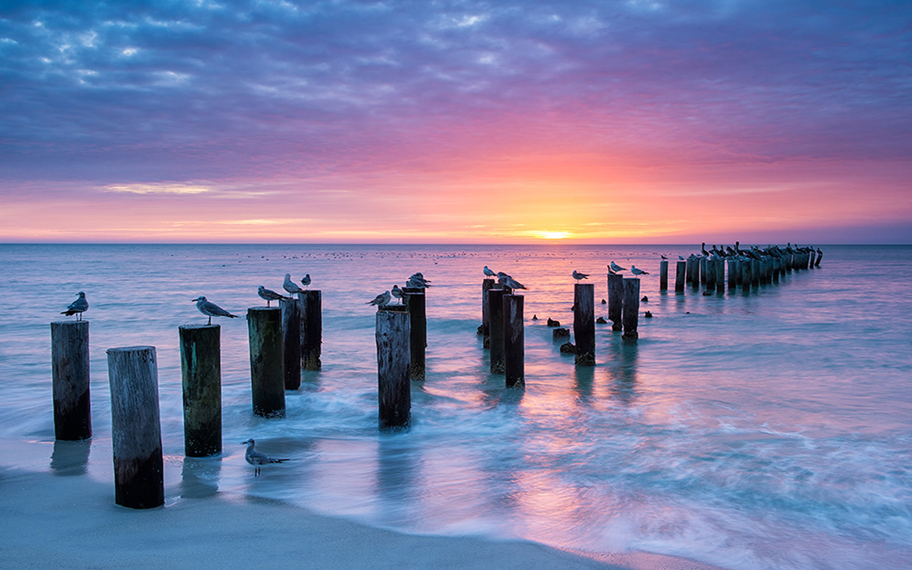 red, land, fort, birds, ocean, old, bay, tranquility, 4K, naples, sunset, tranquil scene, pillars, beauty in nature, nature, water, wooden post, HD Wallpaper