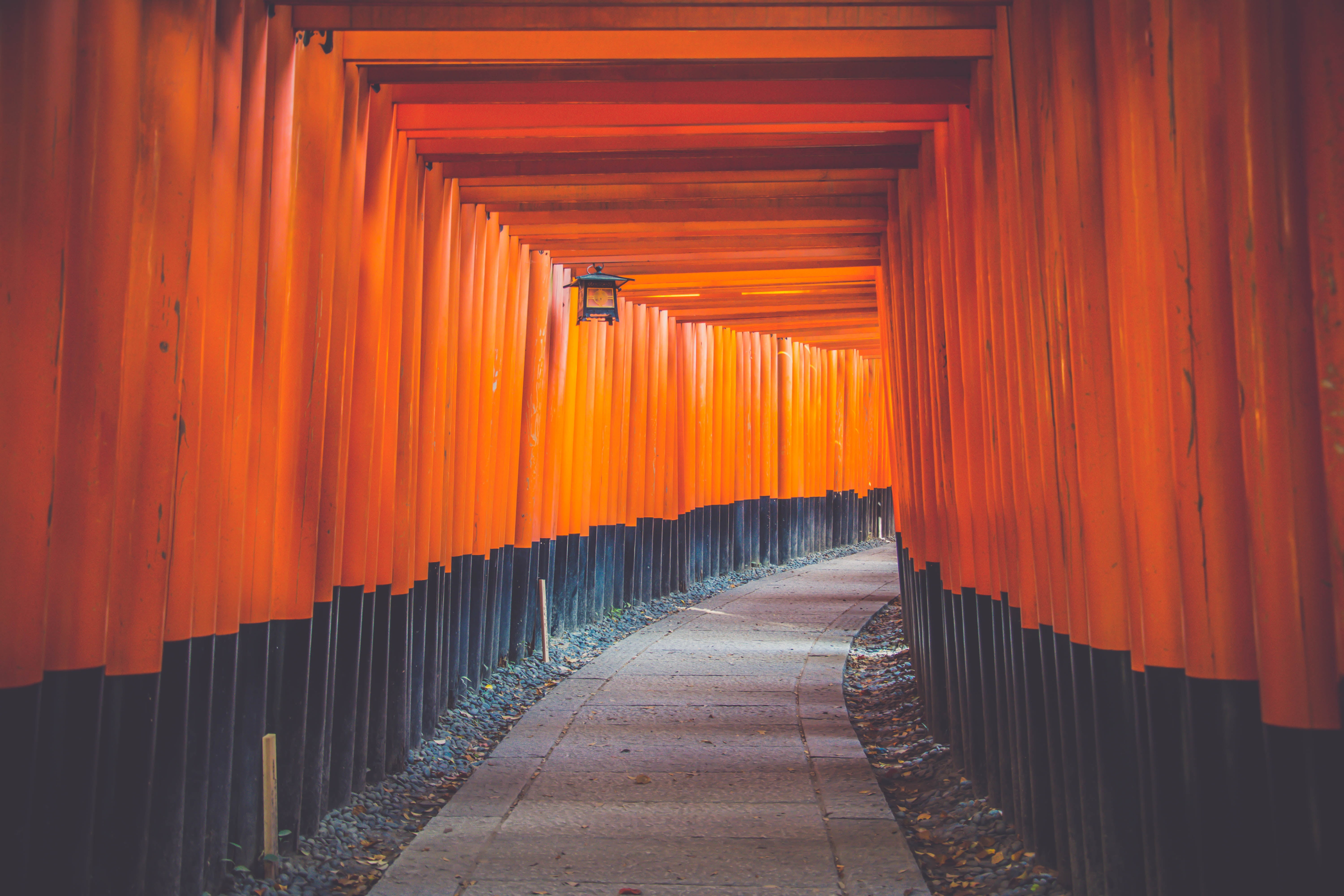 asia, gray, place of worship, direction, outdoors, belief, famous Place, built structure, the way forward, wood - Material, long, no People, architecture, HD Wallpaper