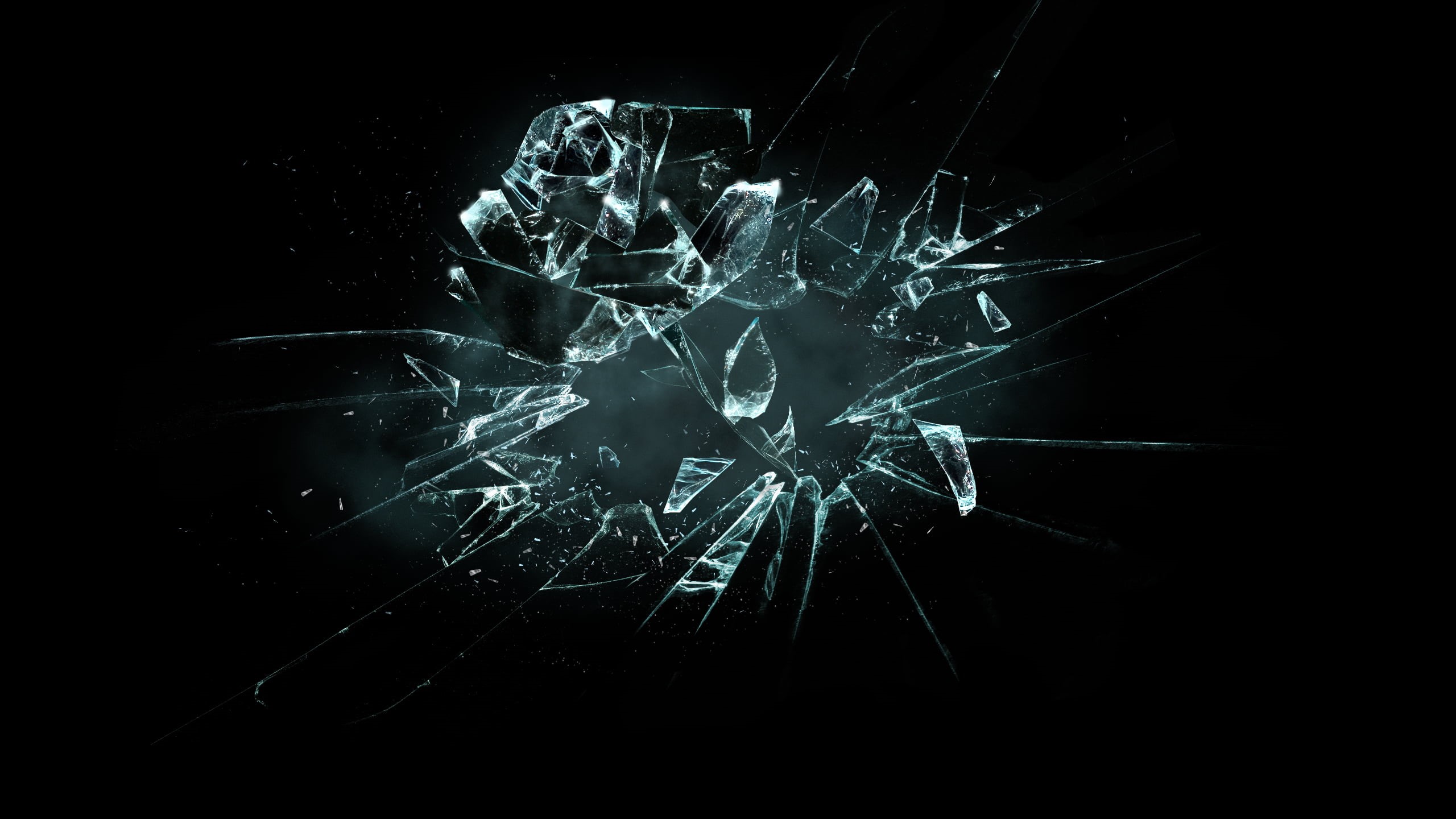 internet, impact, 2K, black background, The broken flower, aggression, Broken Flower, backgrounds, light - Natural Phenomenon, cracked, space, shattered glass, HD Wallpaper